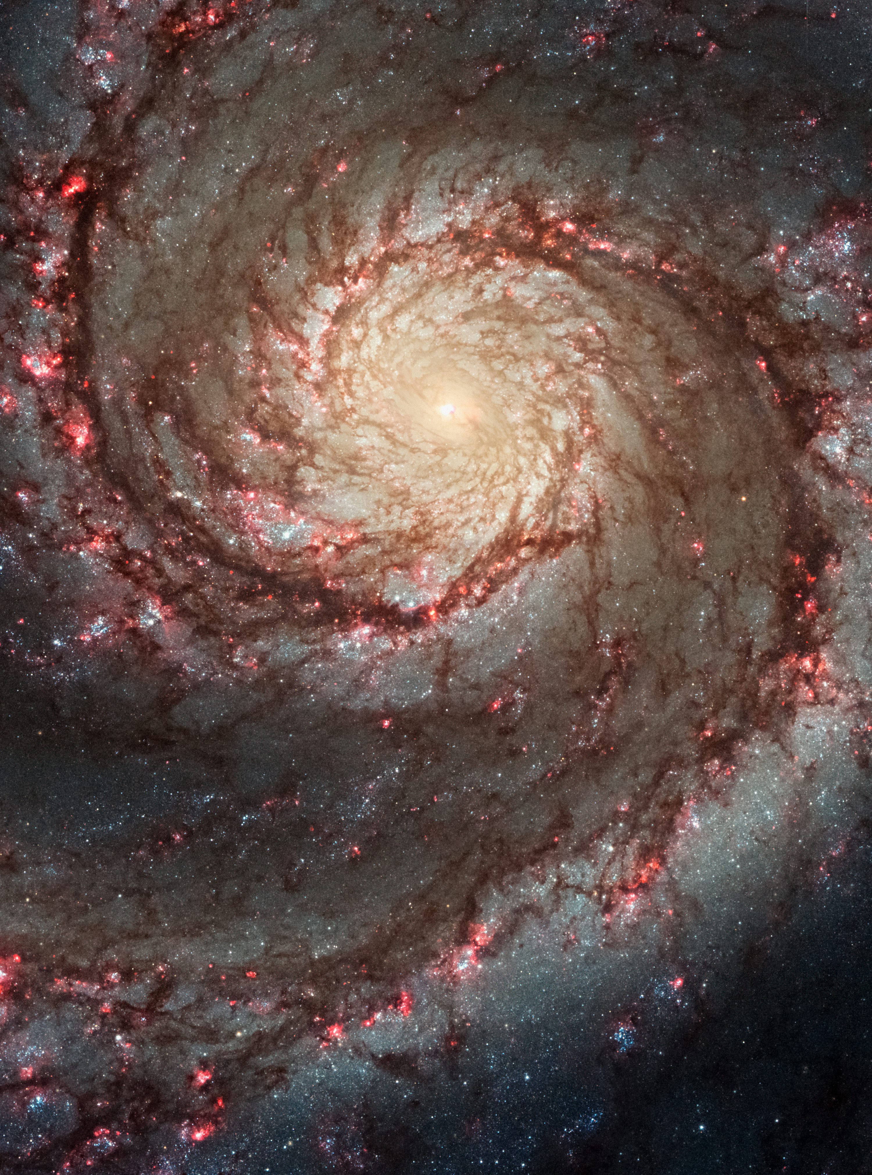Spiral Galaxy Picture. Download Free