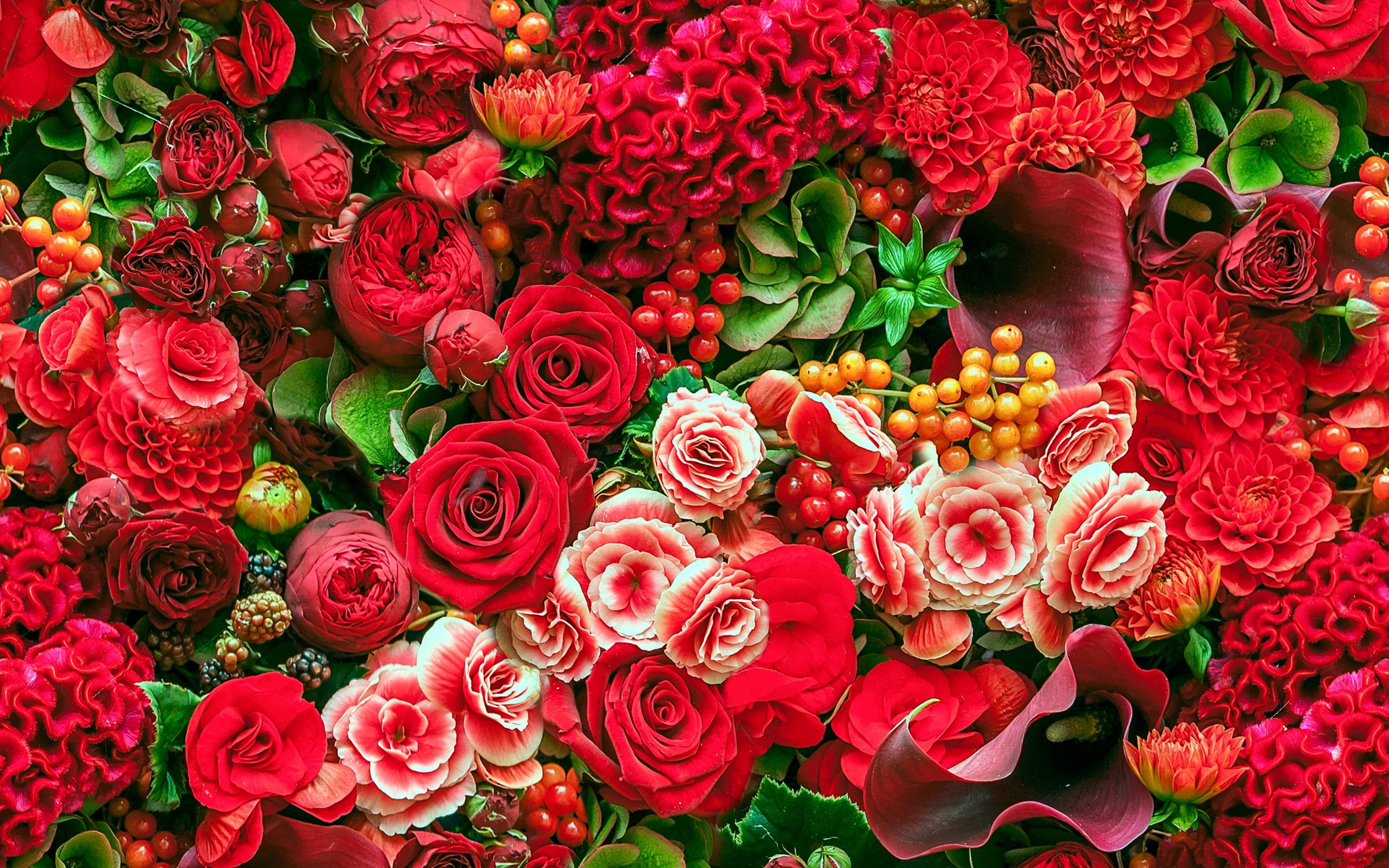 Radiant Red Floral HD Wallpaper: A