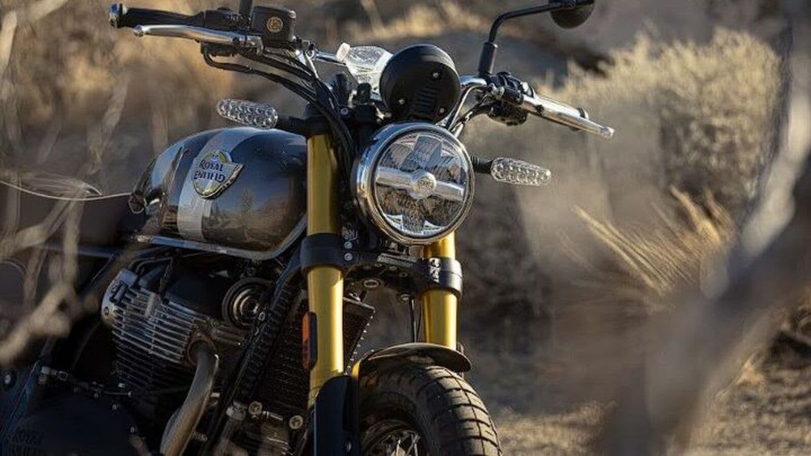 Royal Enfield Interceptor Bear 650
