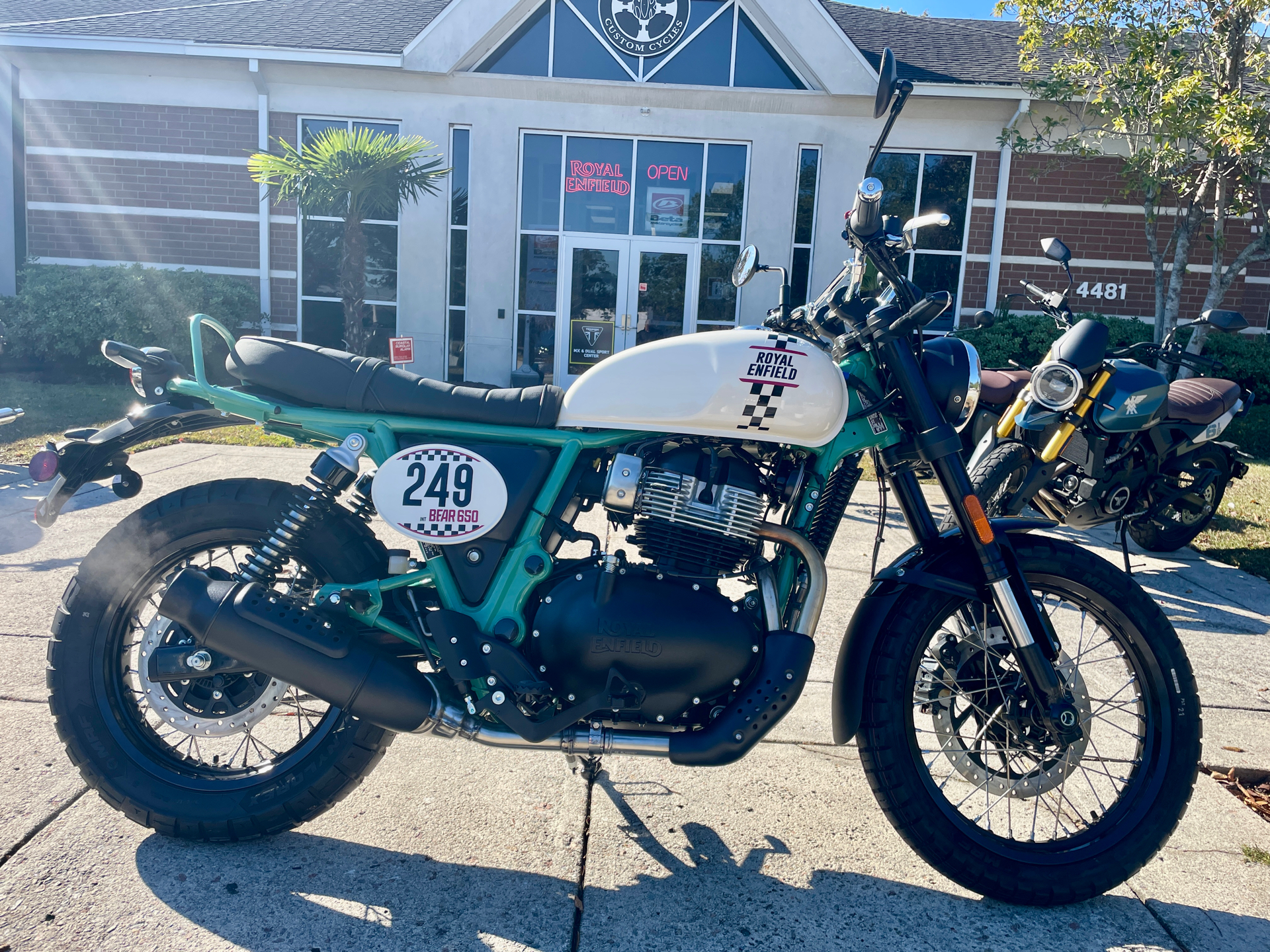 New 2025 Royal Enfield Bear 650