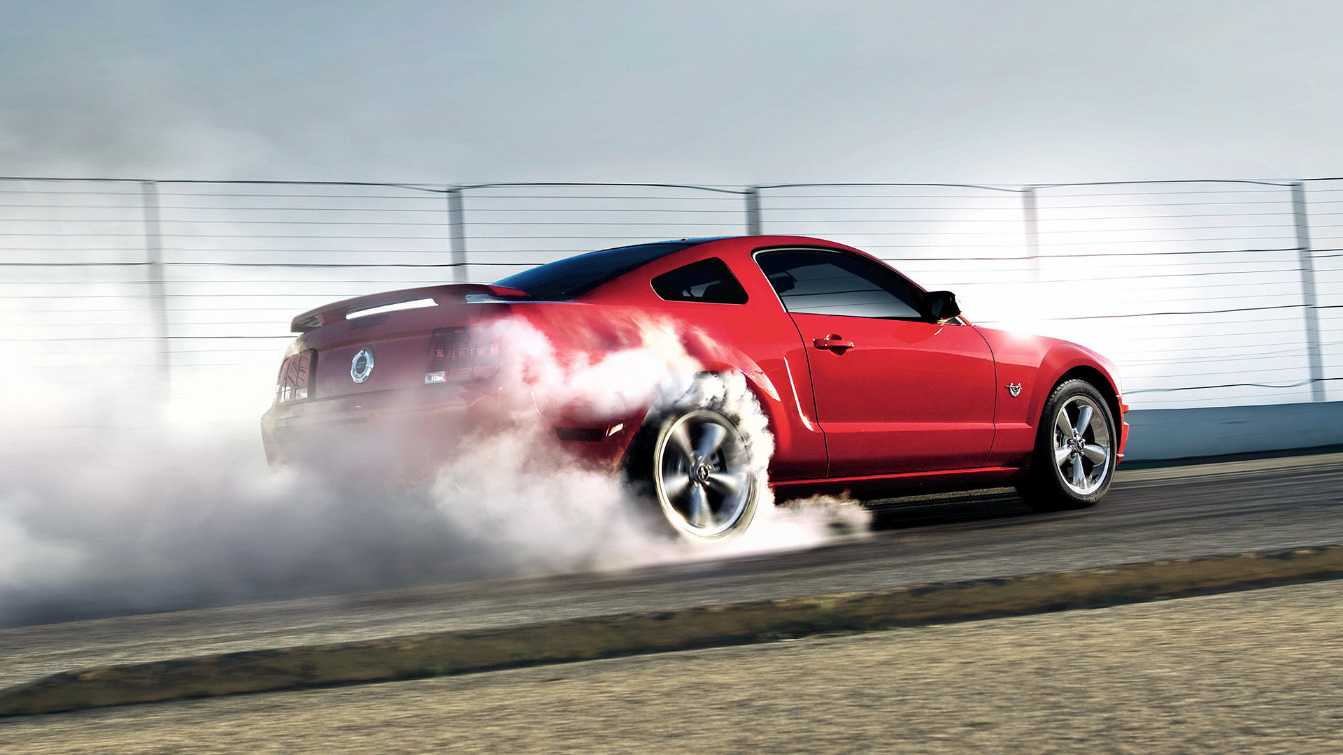 Mustang Club Of West Central Florida