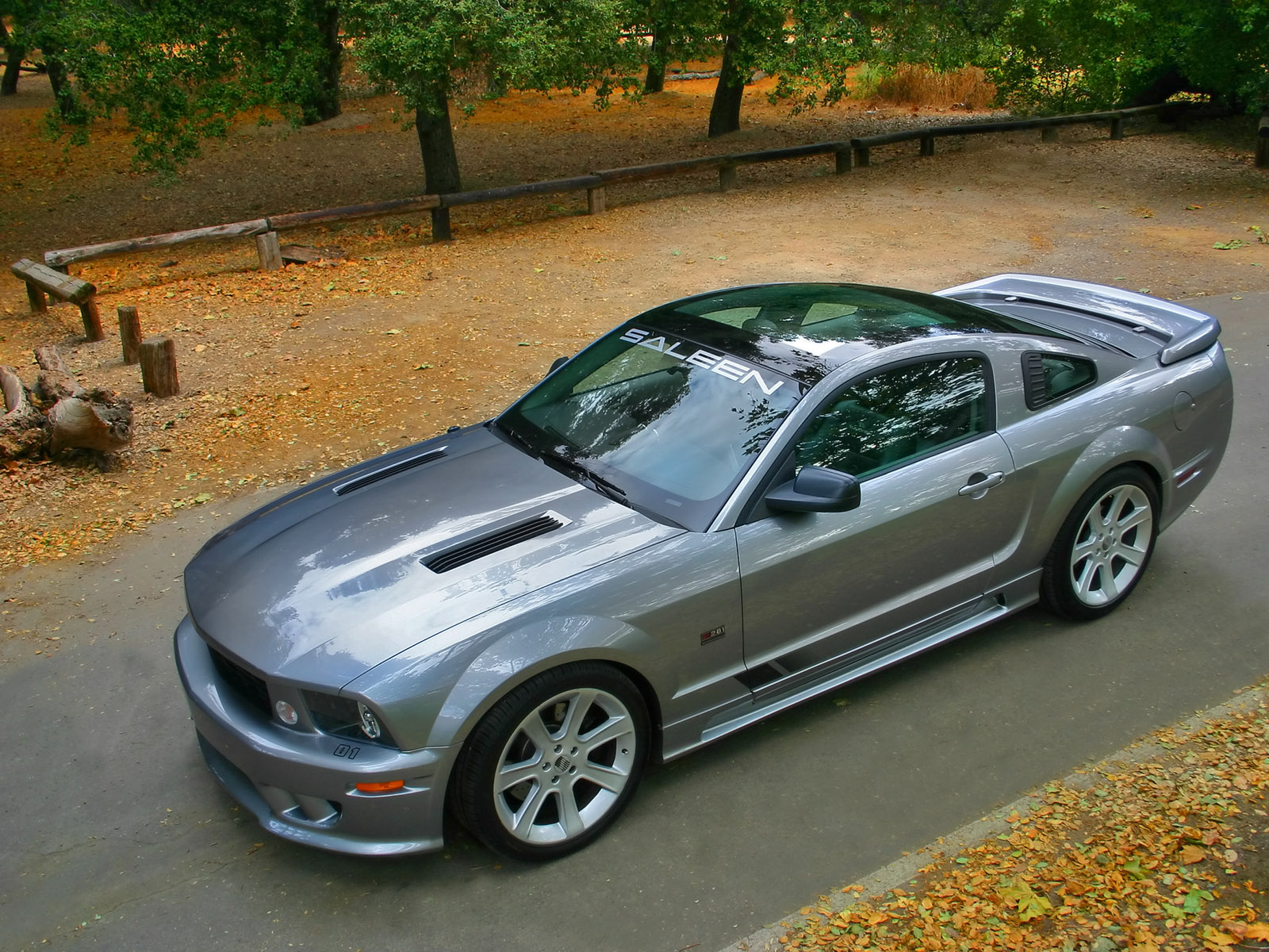 Ford Saleen Mustang S 281 Extreme