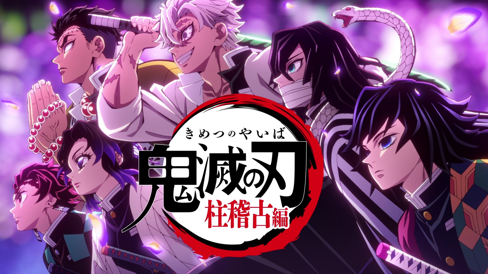 Kimetsu no Yaiba Hashira Training Arc