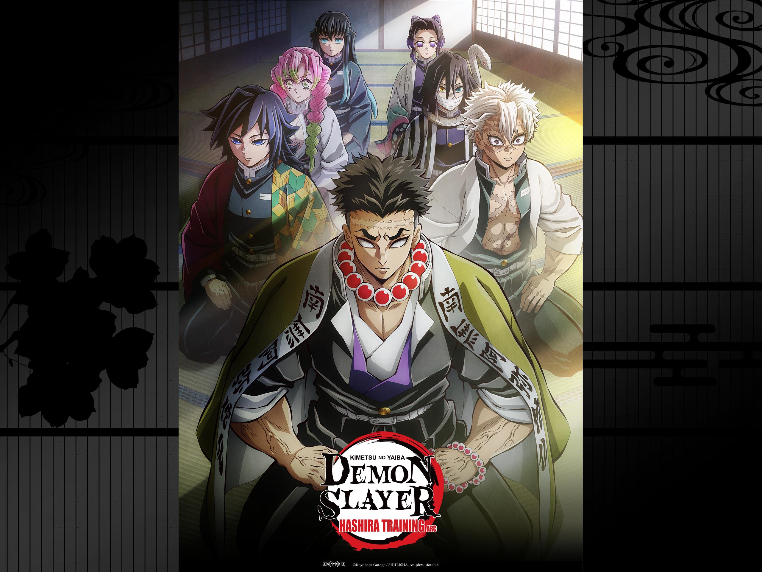 Kimetsu no Yaiba Hashira Training Arc