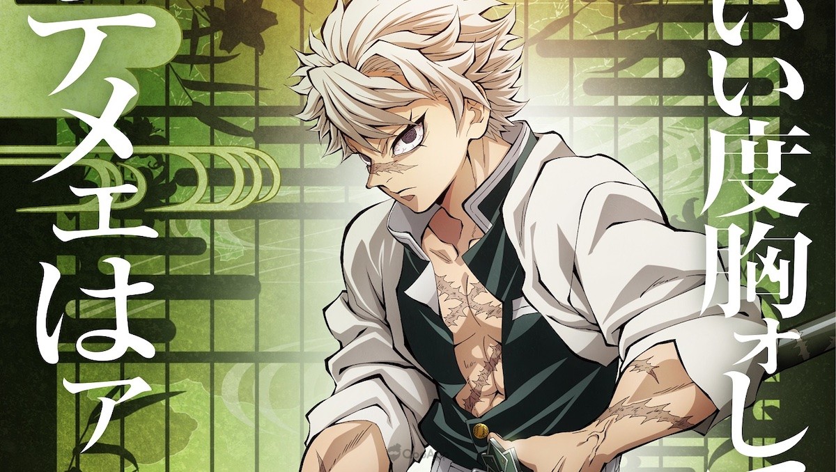 Demon Slayer Season 4 Hashira Training