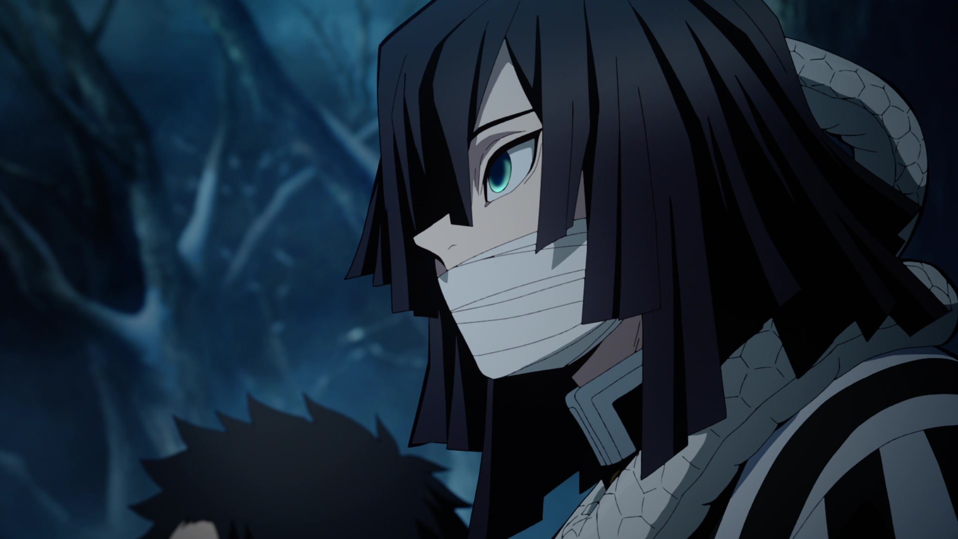 Kimetsu no Yaiba Hashira Training Arc