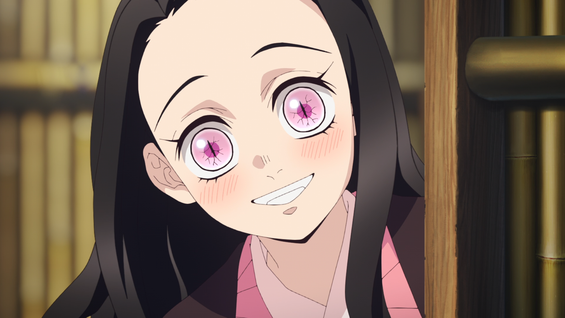 Kimetsu no Yaiba Hashira Training Arc