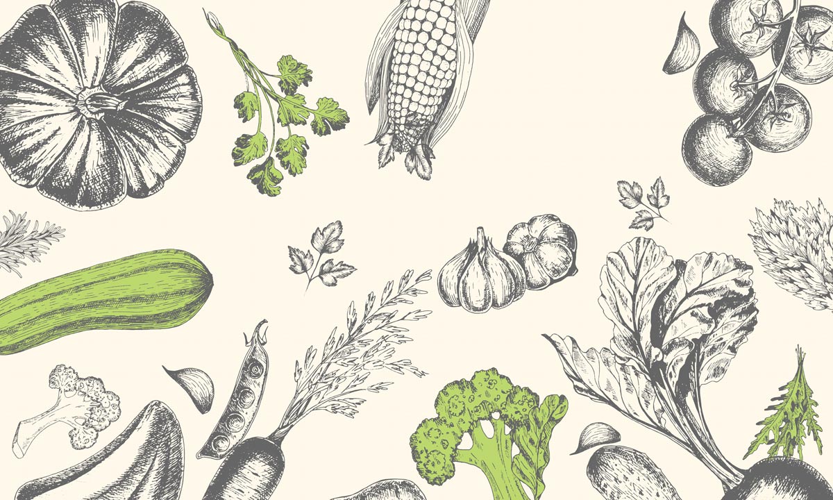 Botanical Vegetable Kitchen Mural