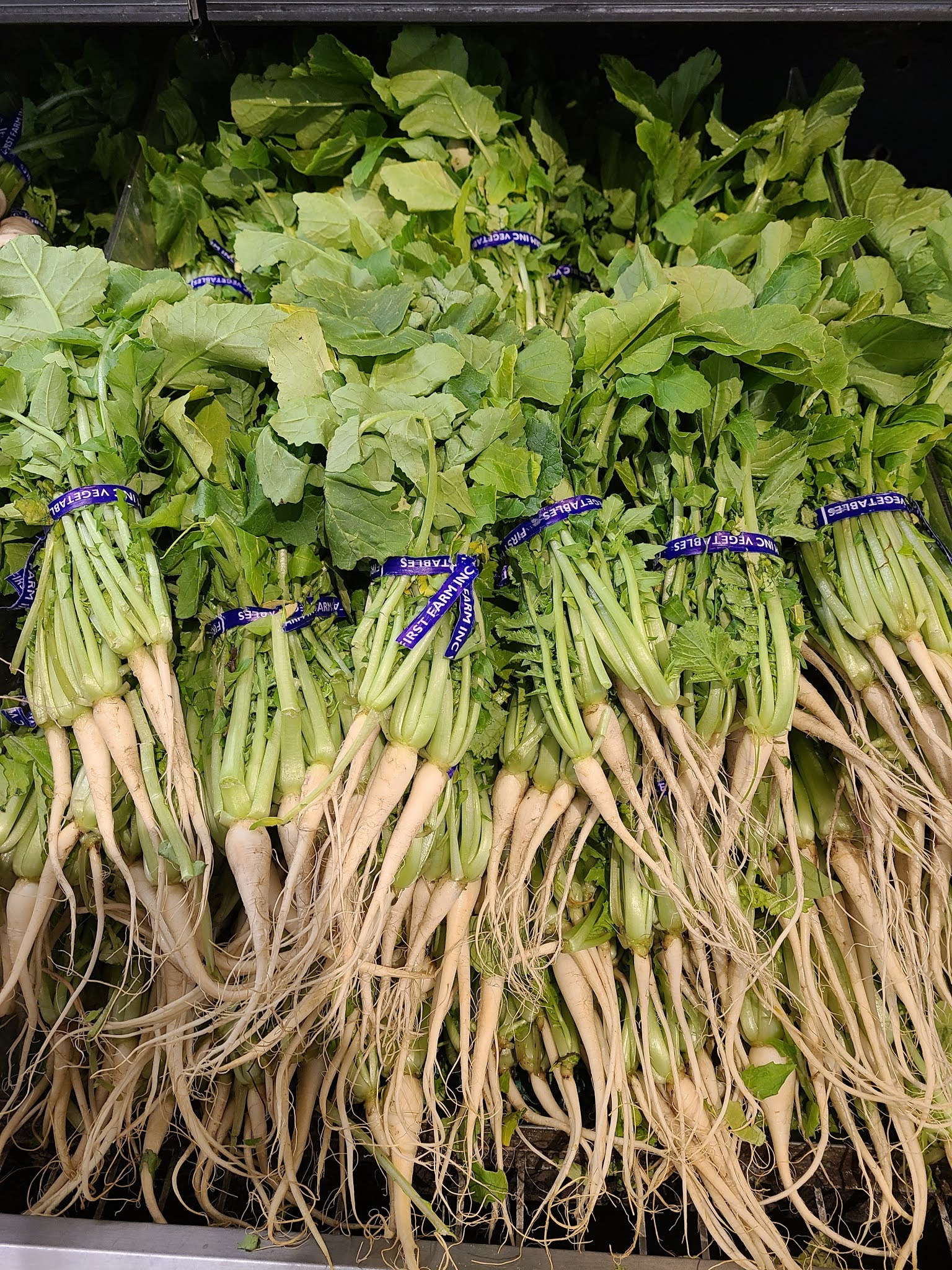 Guide to Green Leafy Vegetables