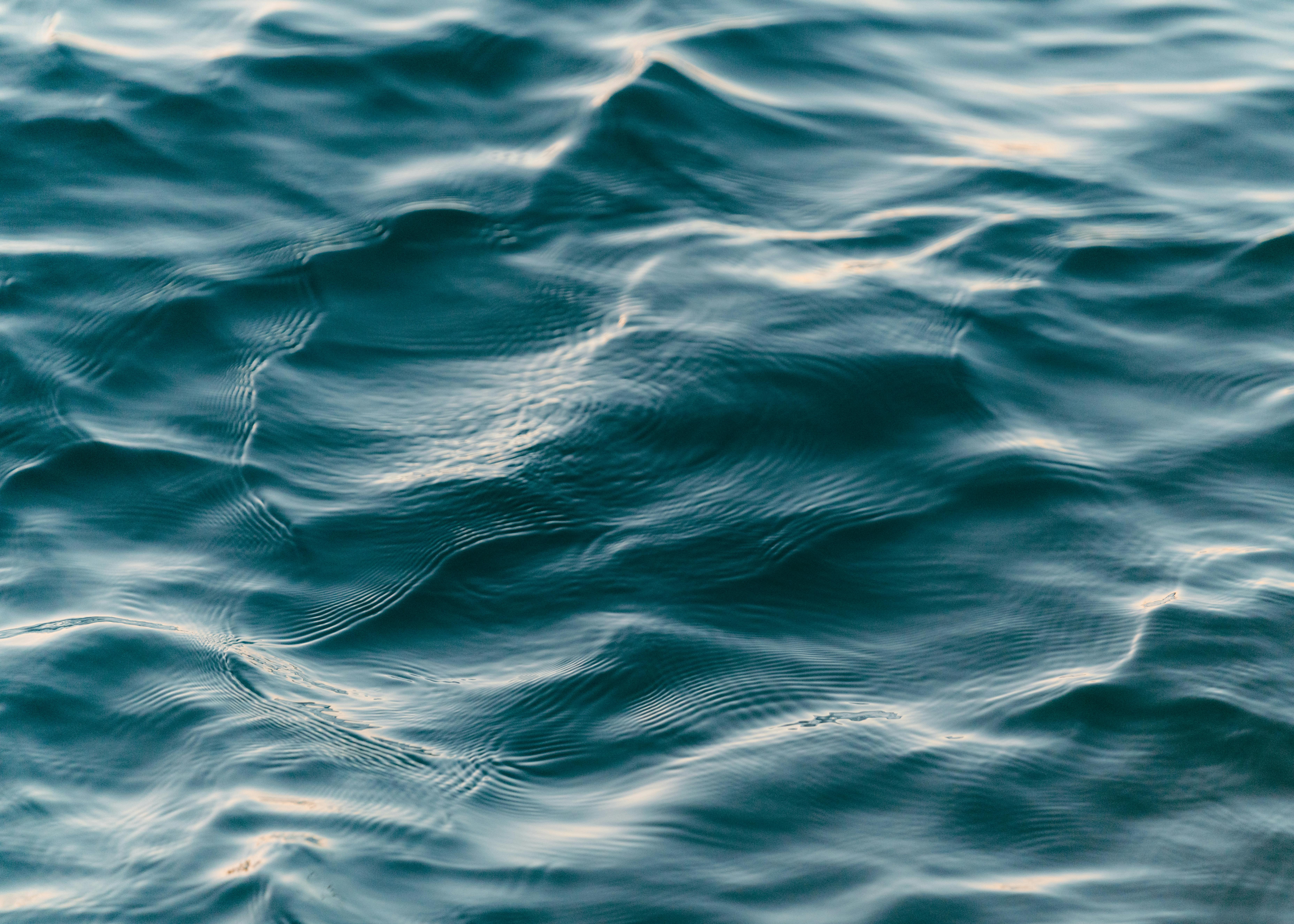 Photo of Body of Water · Free