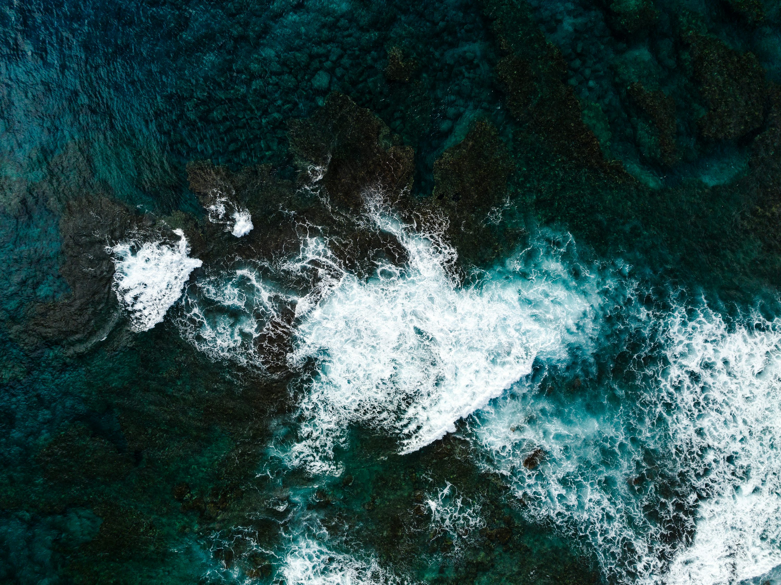 An aerial view of a body of water photo