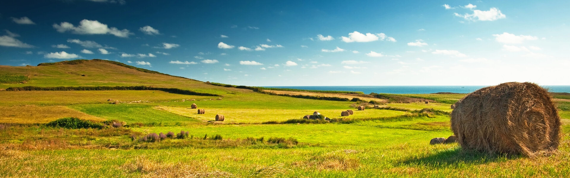 Conservation Tillage: Farming Practices