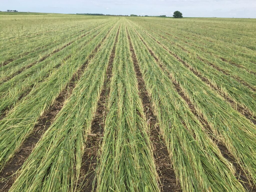 More Than Two Tillage Passes is Never