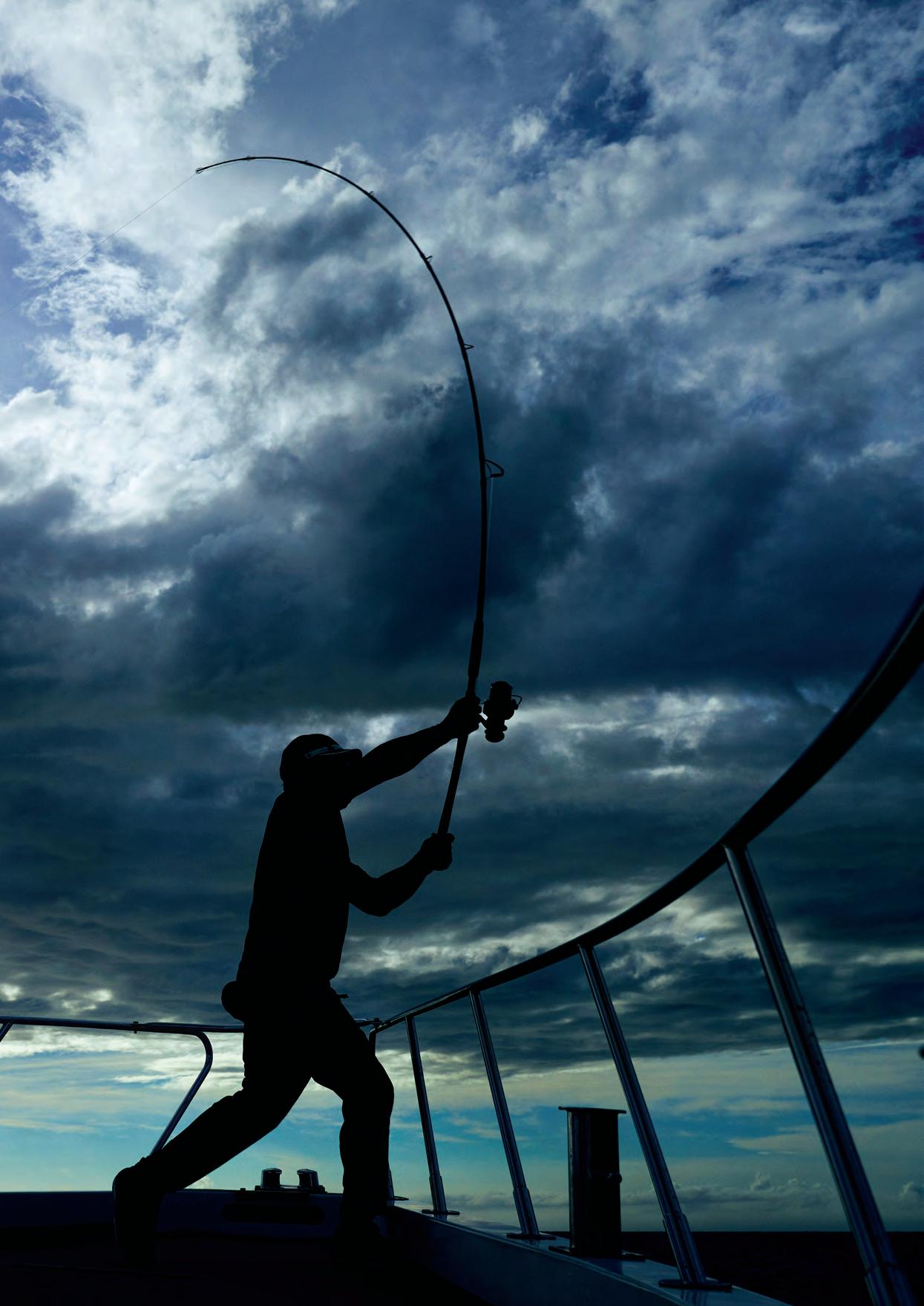 Shimano S.E.A Catalogue 2025 2026