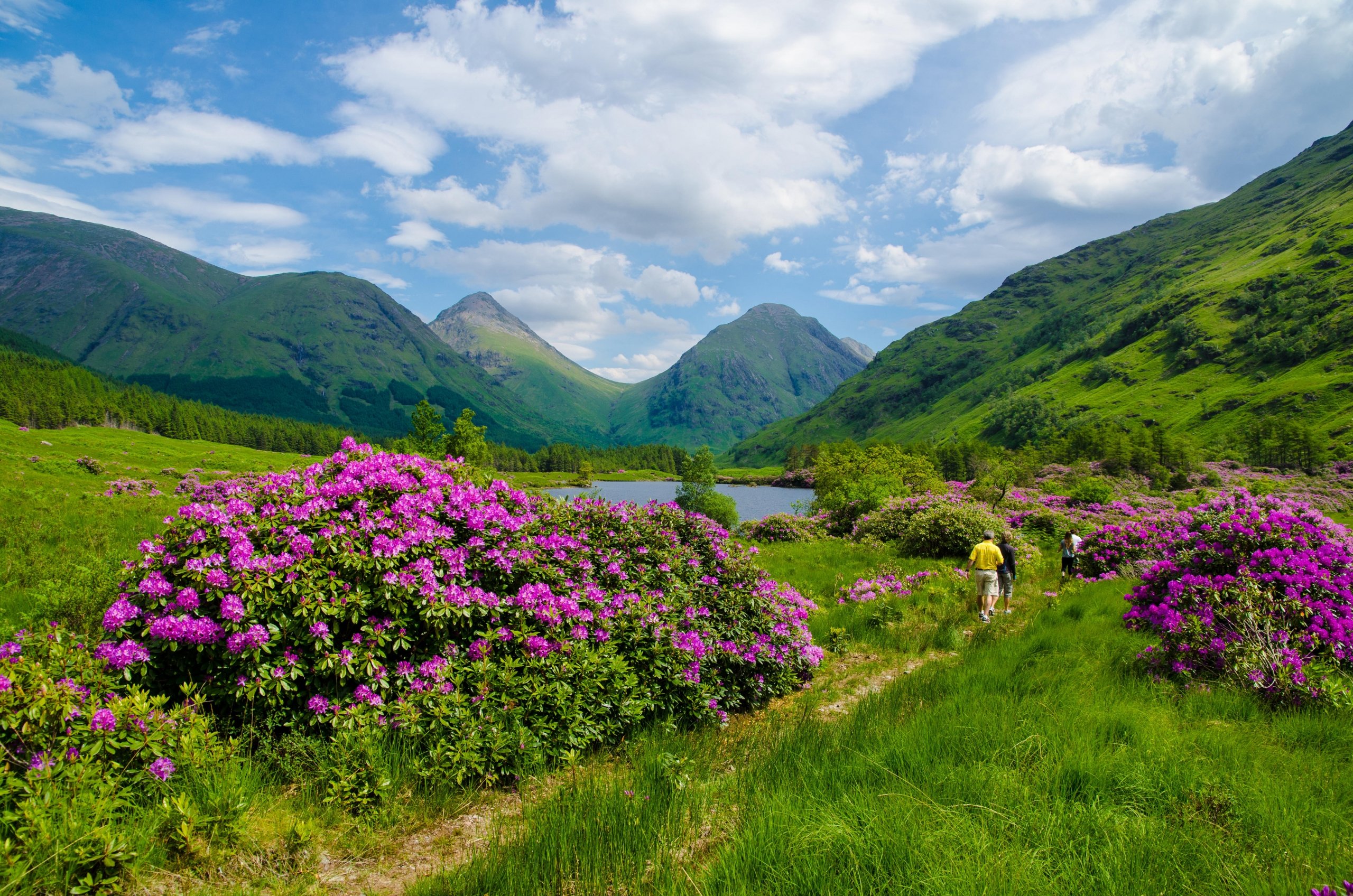 Walking & Hiking Tours in Scotland
