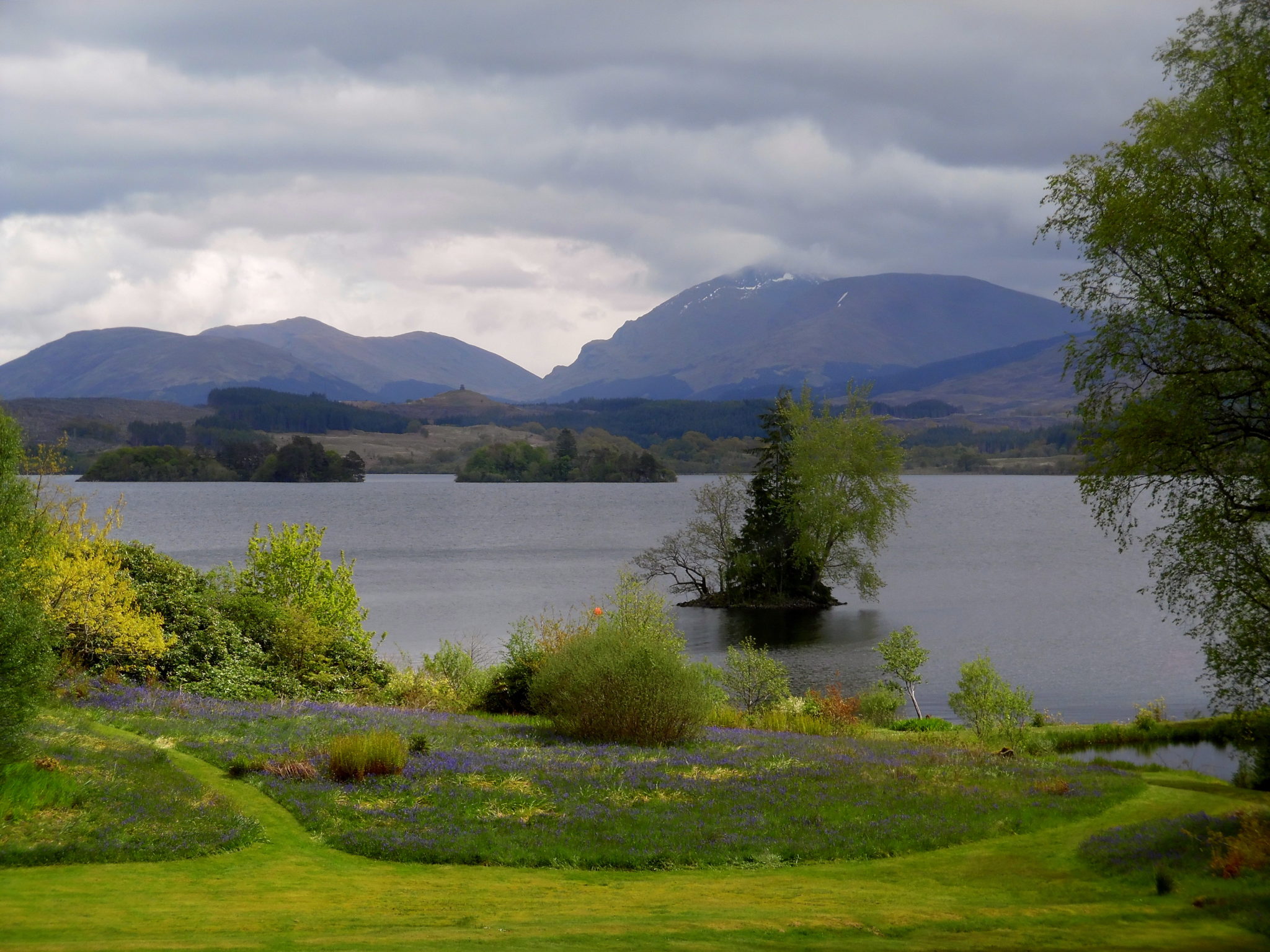 in Spring: Swallows, Flowers, Castles