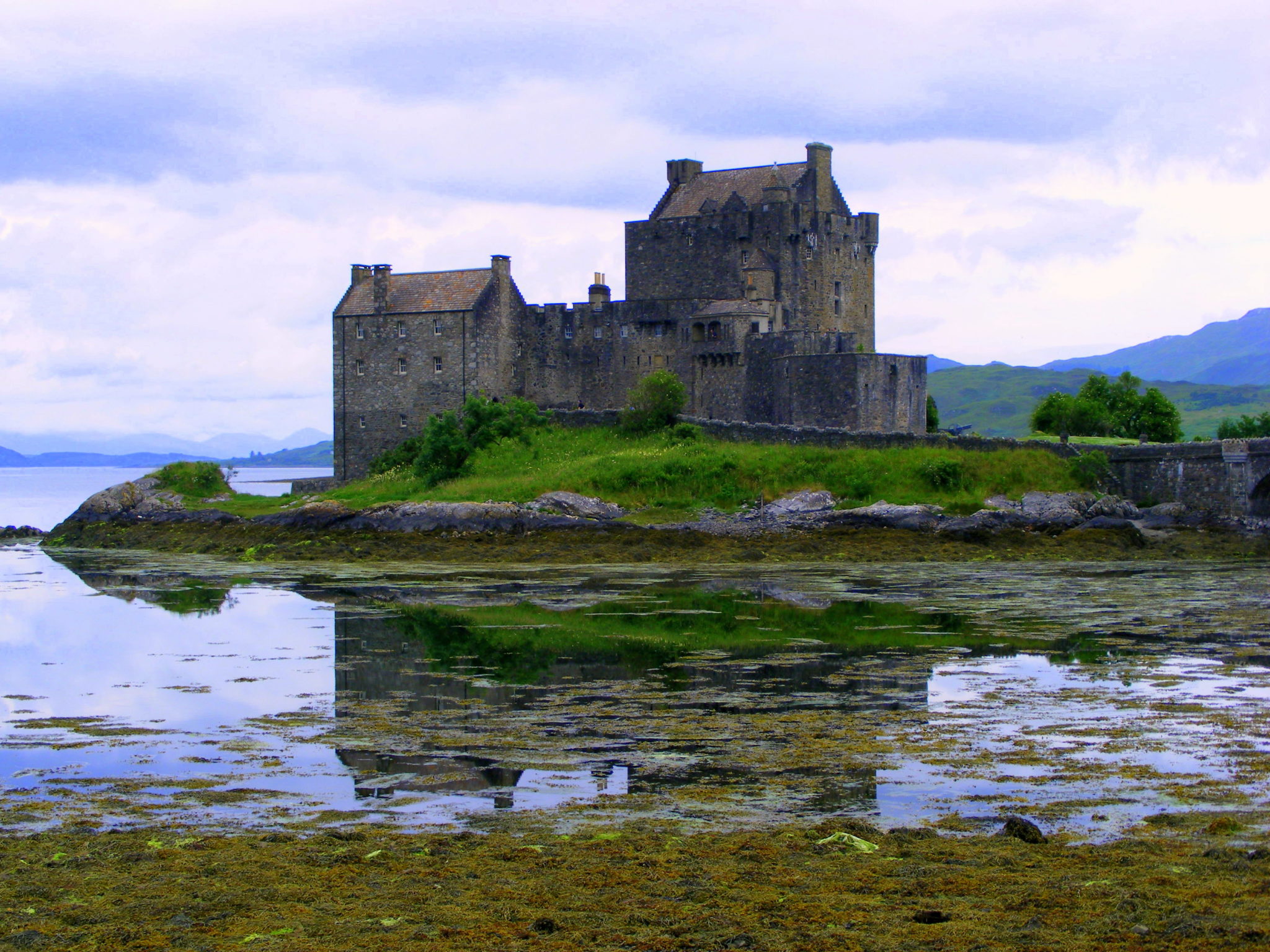 in Spring: Swallows, Flowers, Castles