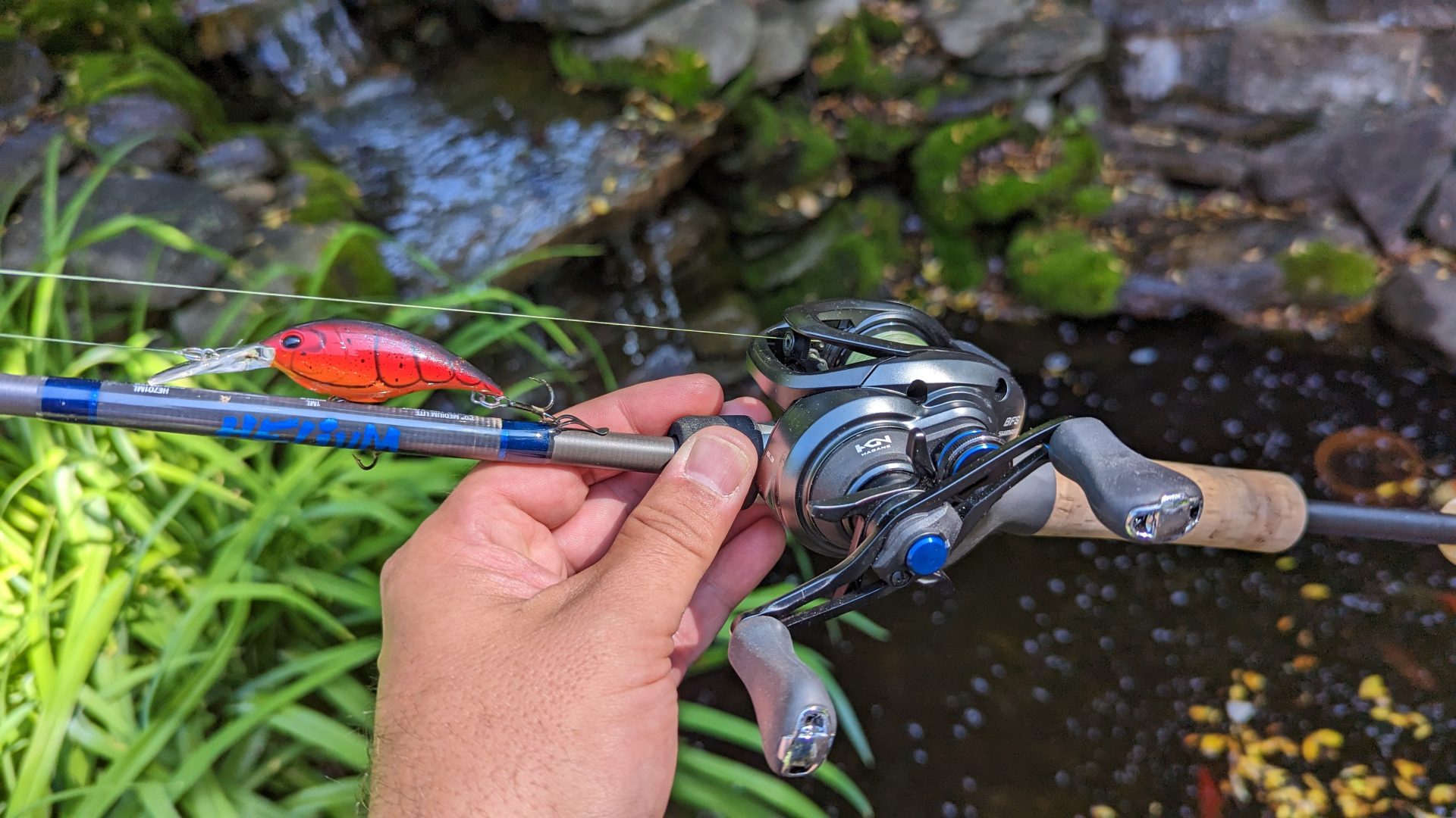 Shimano SLX BFS Reel Review: The Best