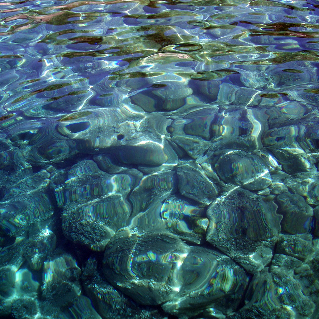 Ocean Bottom iPad Wallpaper