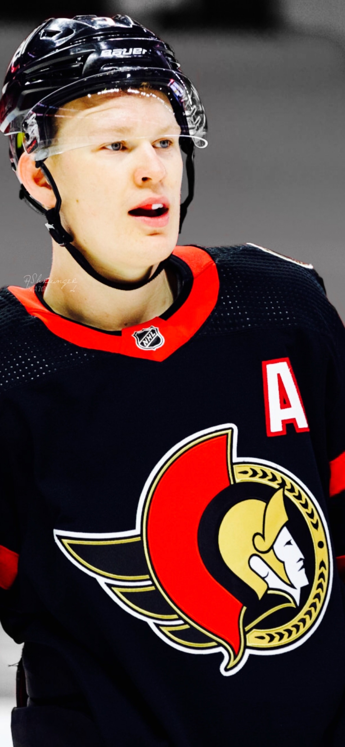 wallpaper • brady tkachuk