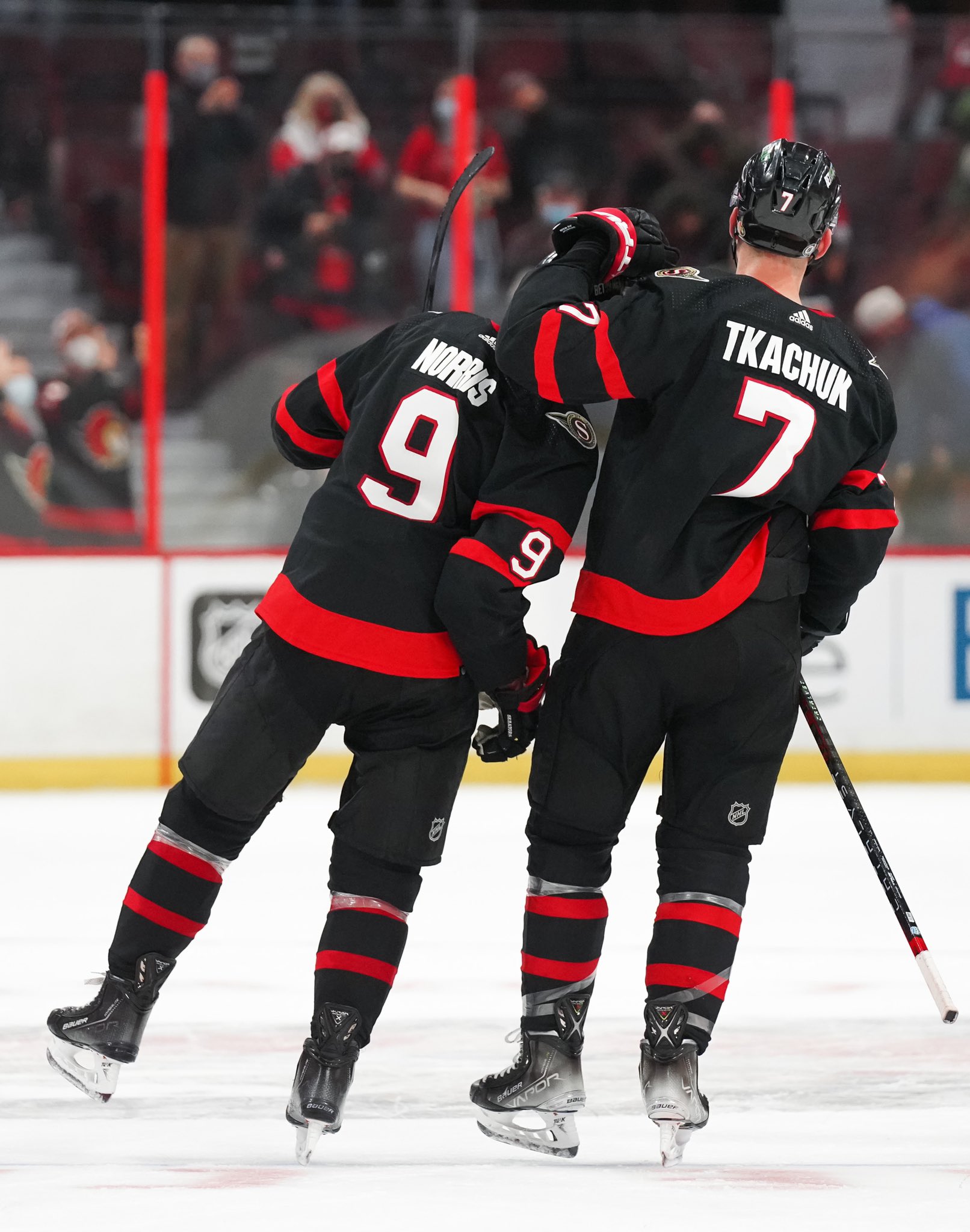 brady tkachuk