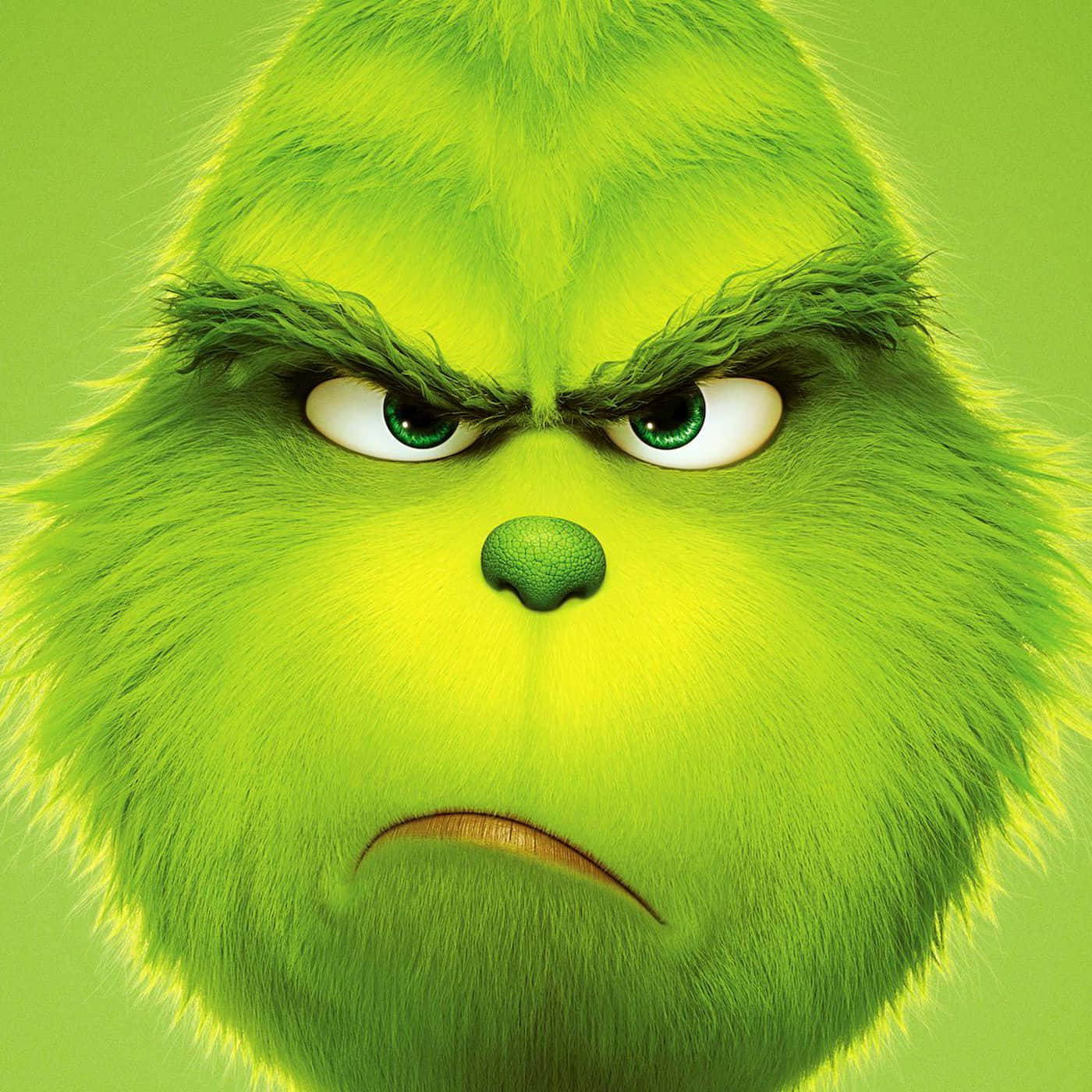 Grinch Picture