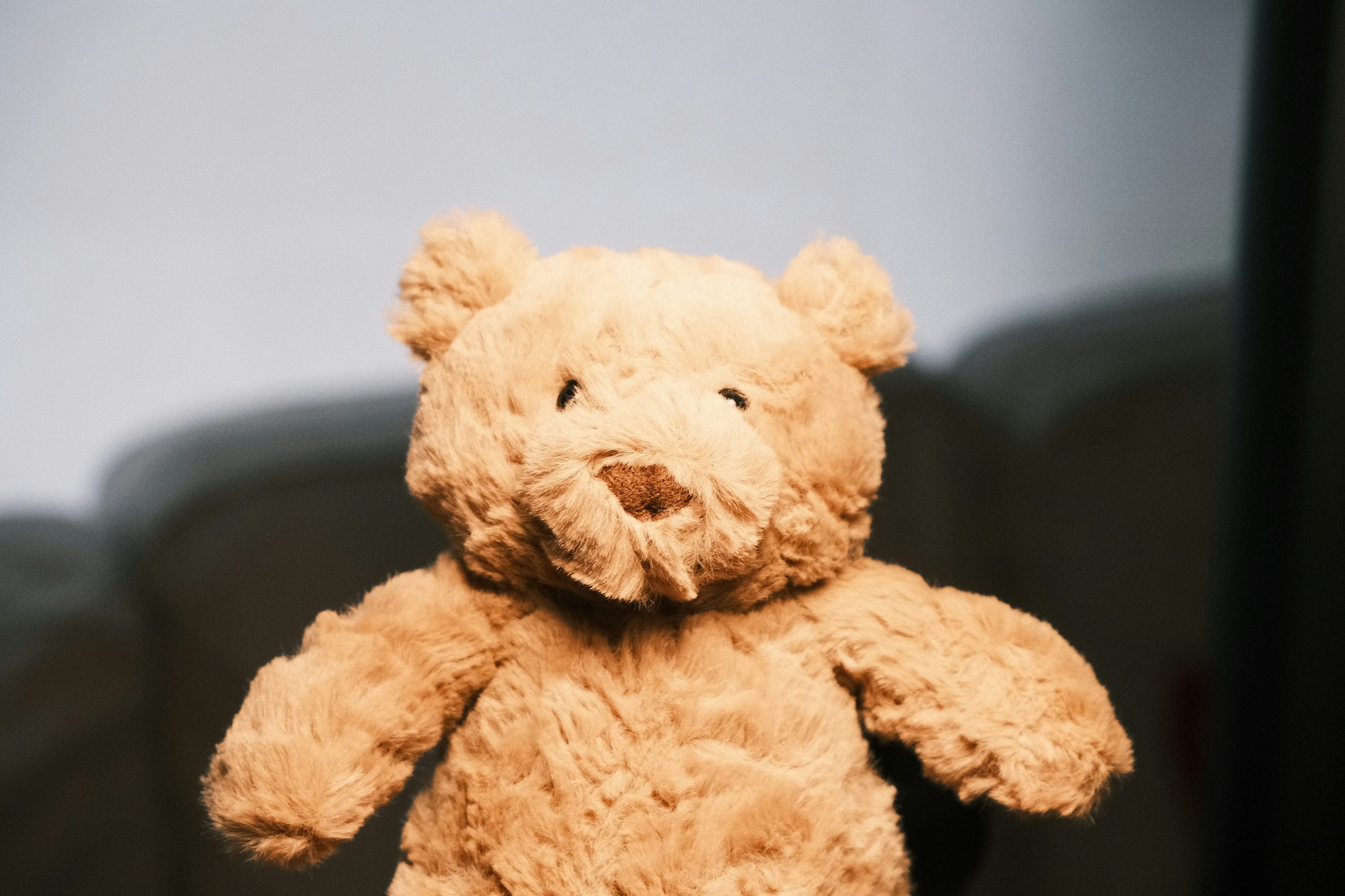 Jellycat Picture. Download Free