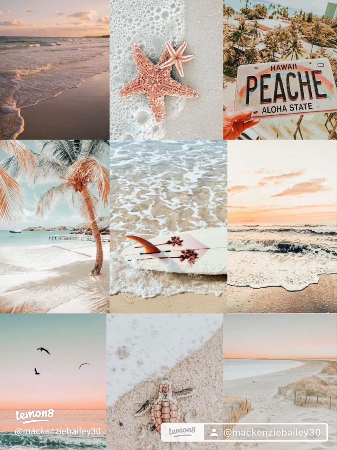 Cute Summer Wallpaper Inspiration