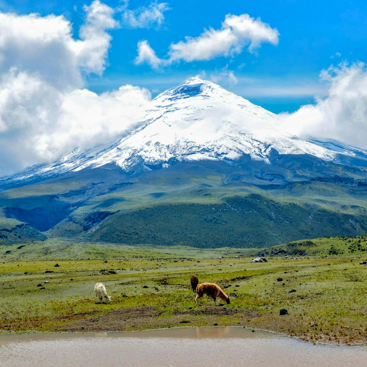 Best Hikes in Ecuador That Surprised Us