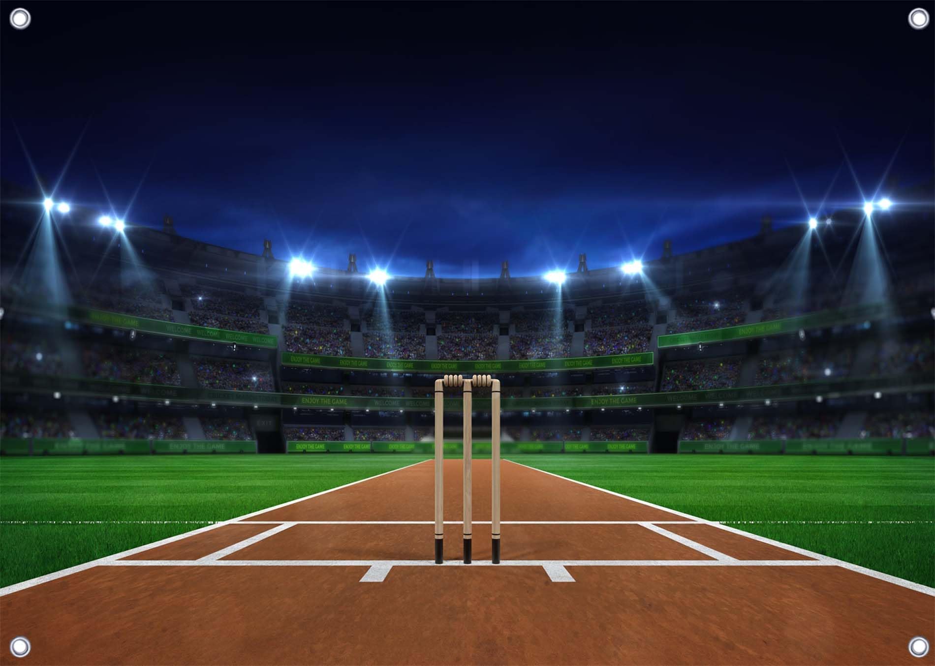 Gorpic 7x5ft Fabric Cricket Stadium