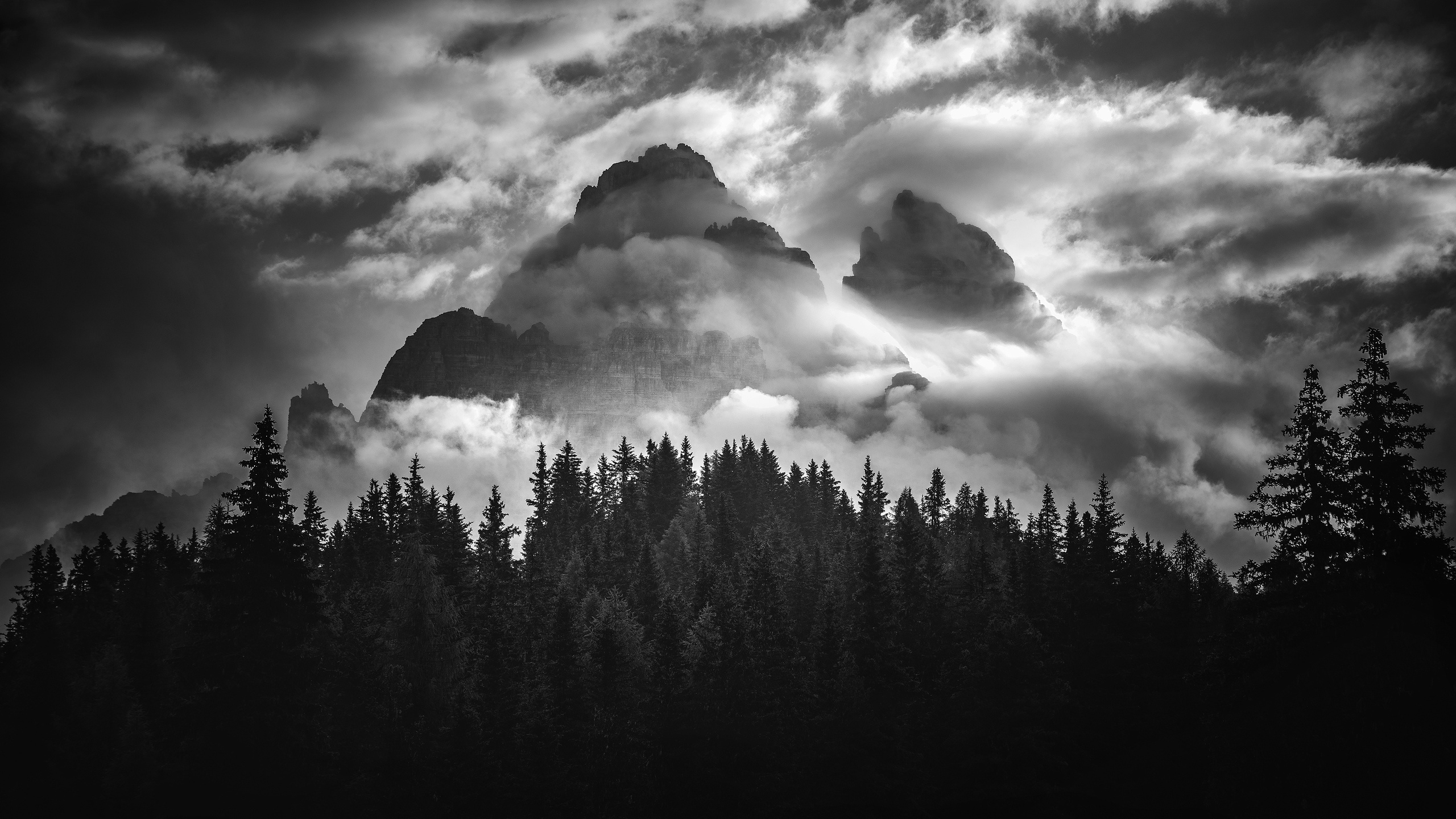 Wallpaper the sky, clouds, trees