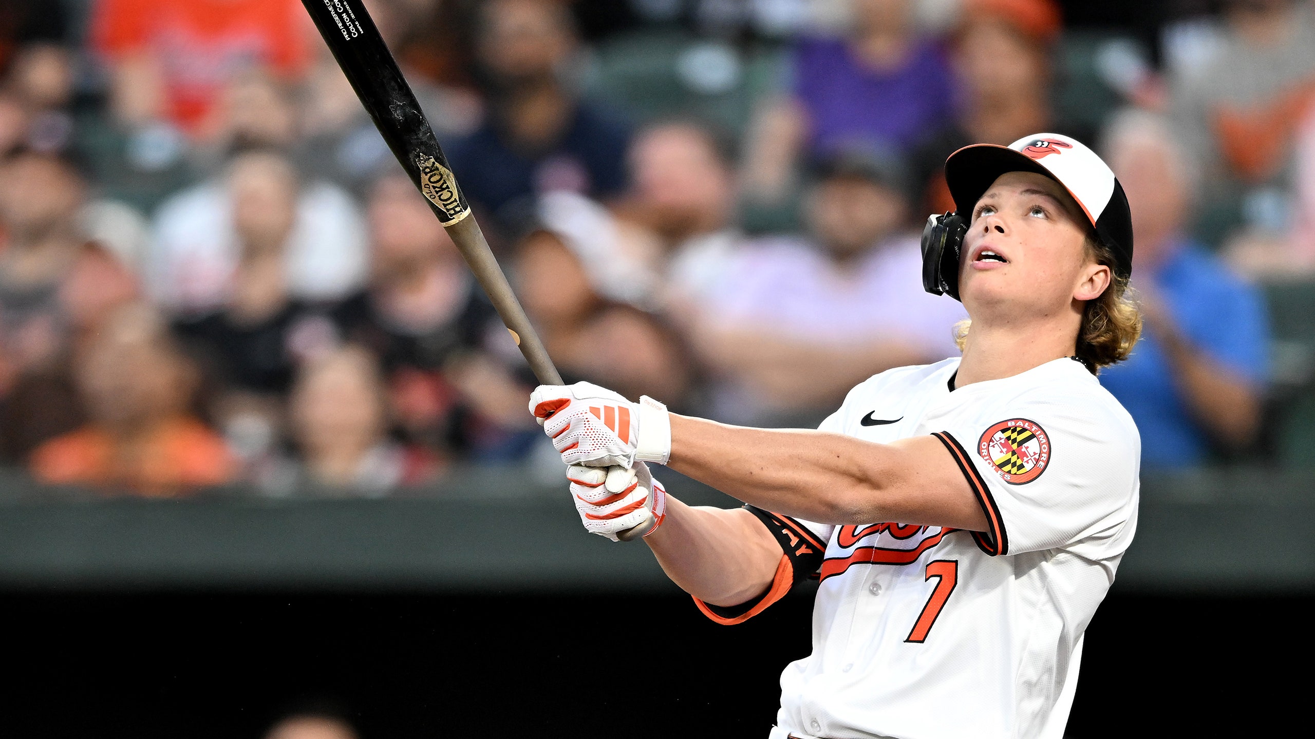 The Baltimore Oriole Who Looks Like a