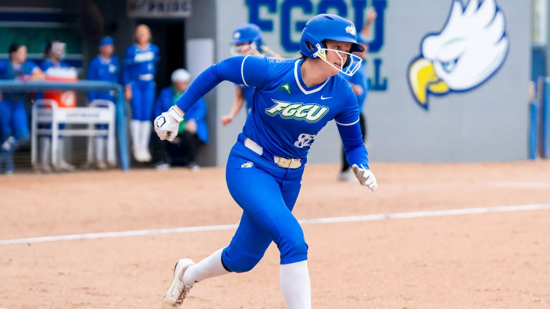 Run Rule Mountain Hawks