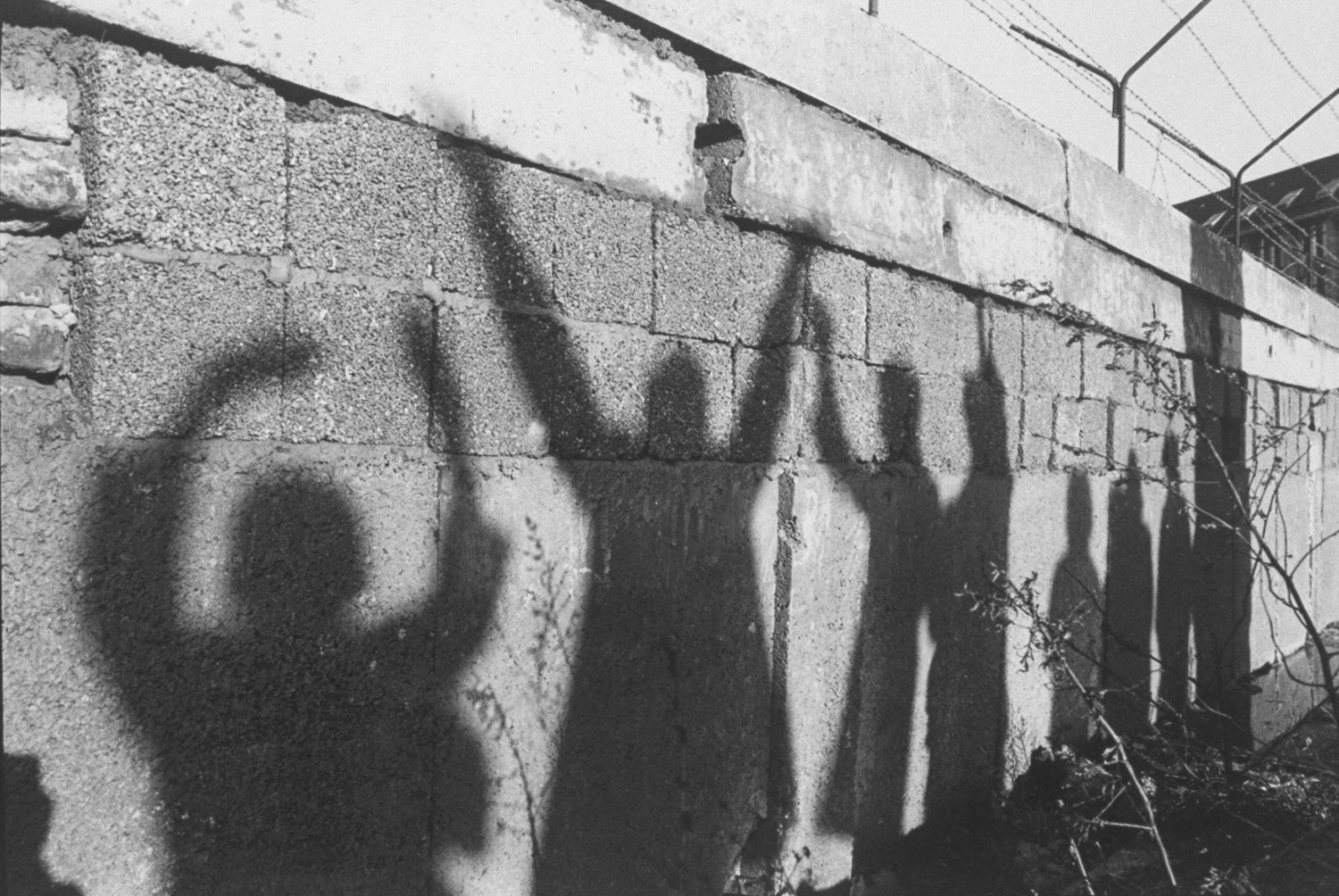 Berlin Wall: Photo From the Birth of a