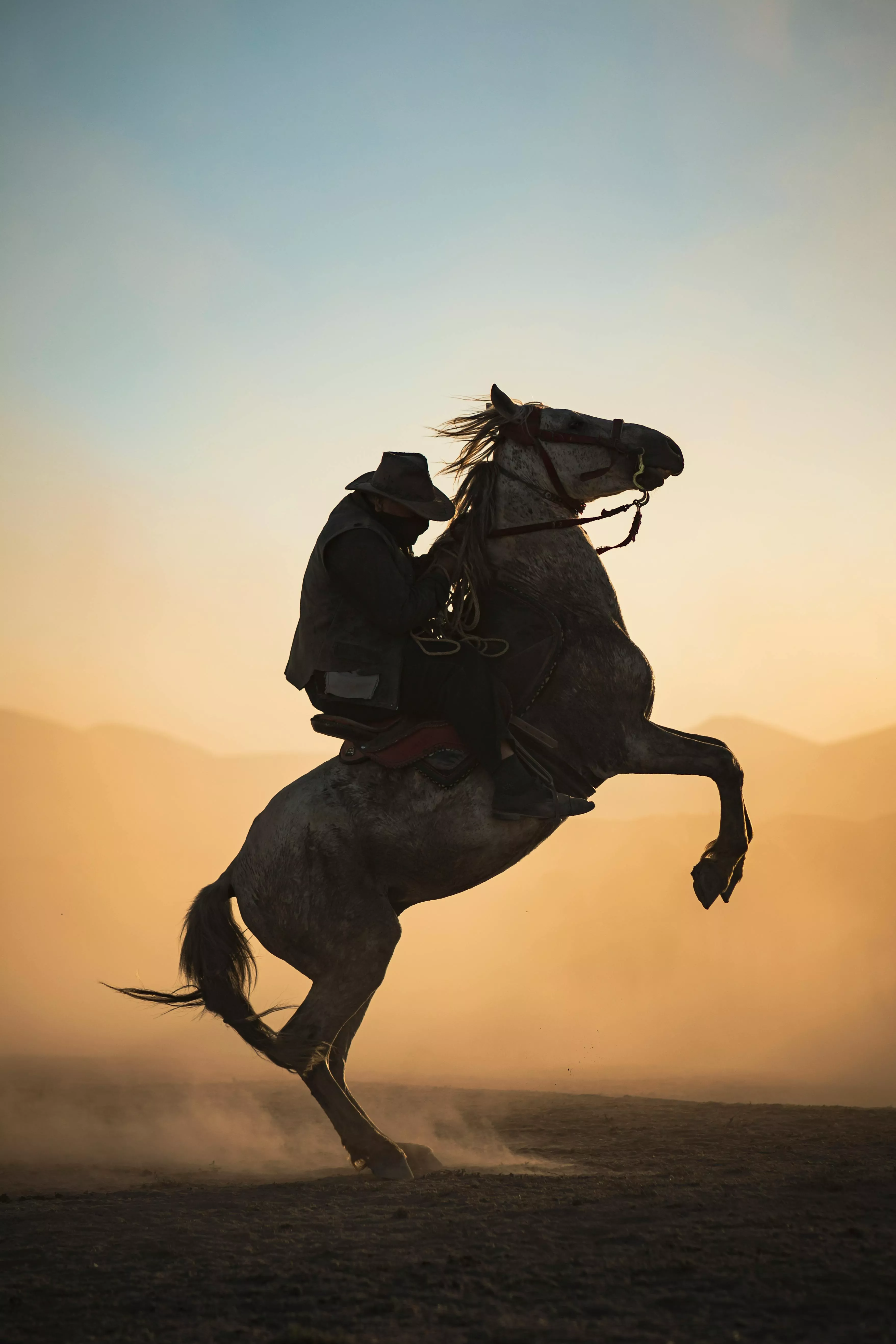 BLACK WHITE HORSE · Free