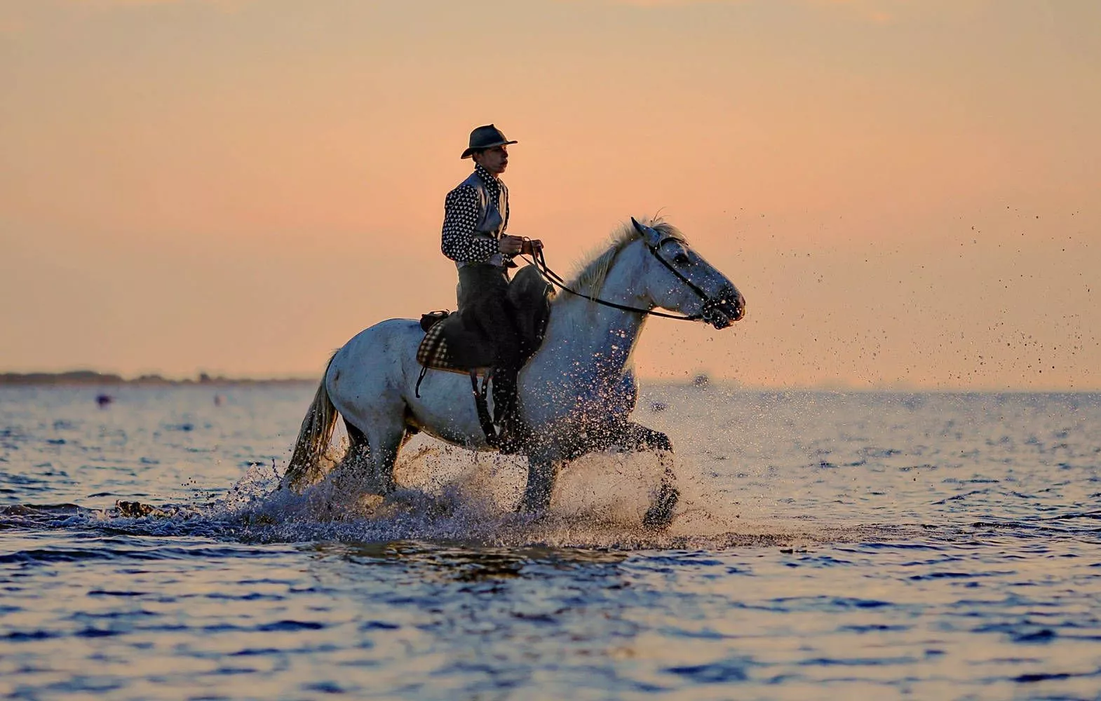 Horse Riding Sea Water Sunset Scenic