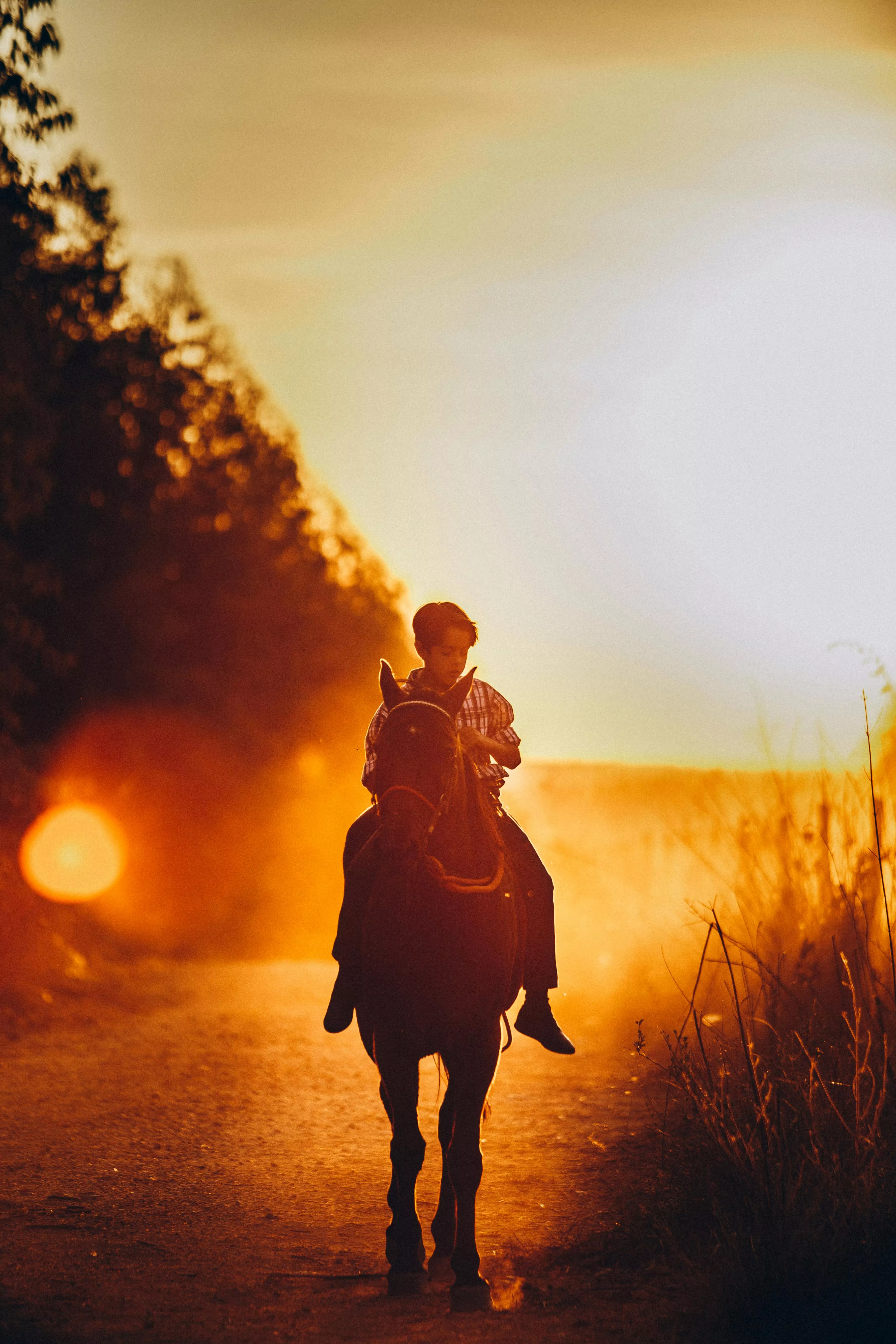 Boy Riding Horse During Sunset · Free