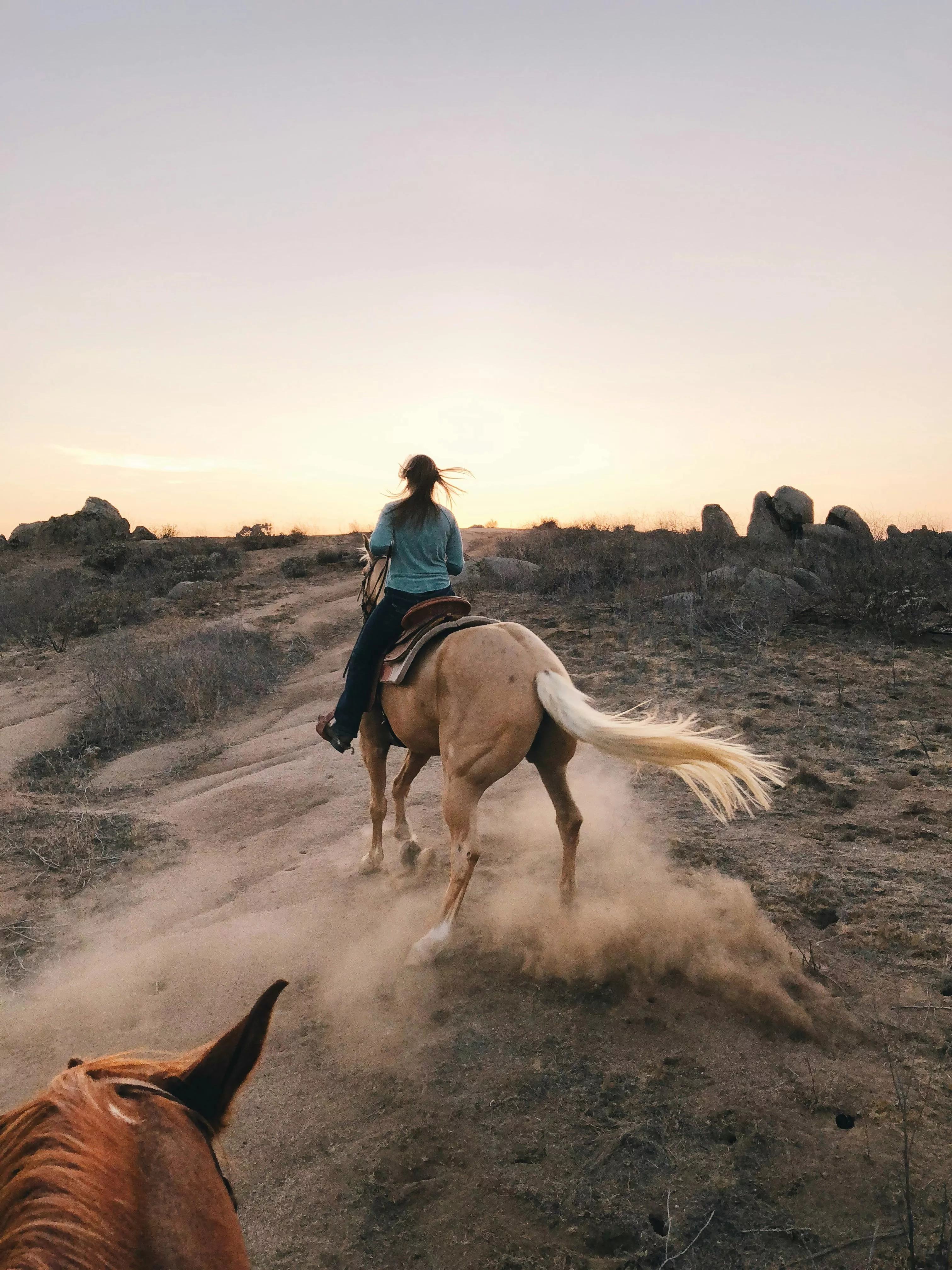 Riding a Brown Horse · Free