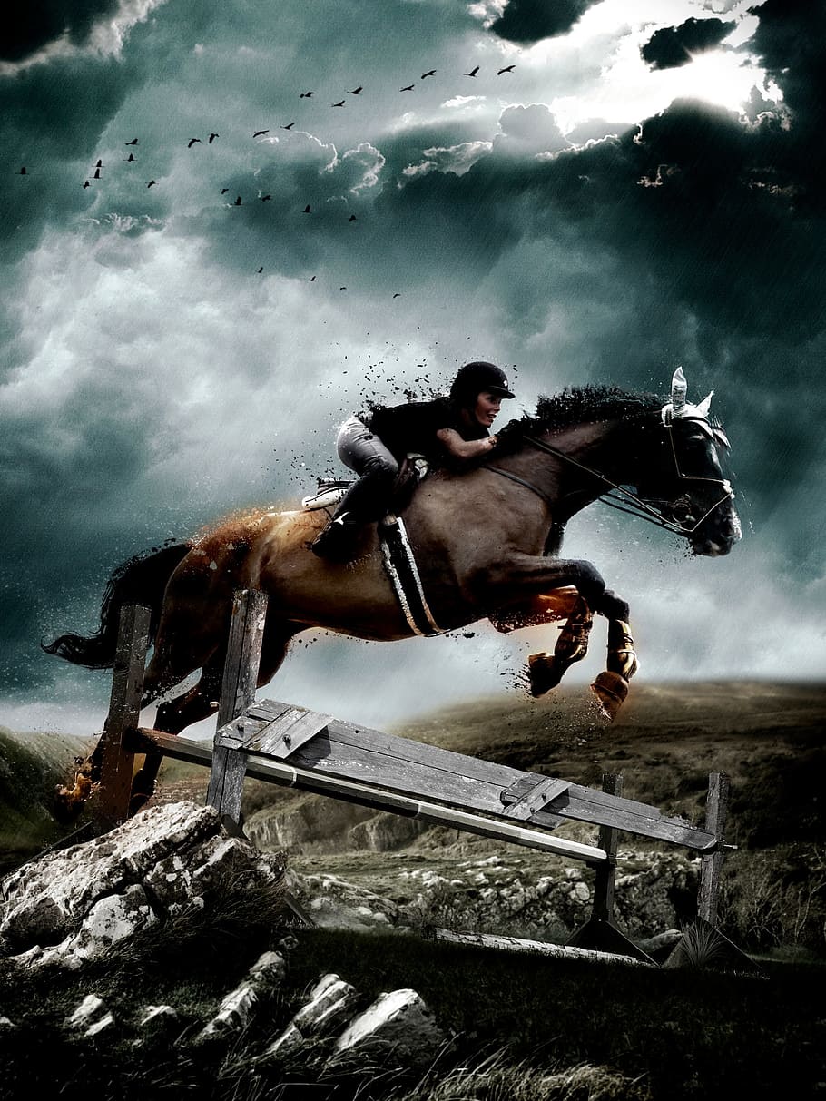 brown horse jumping on rock, equestrian