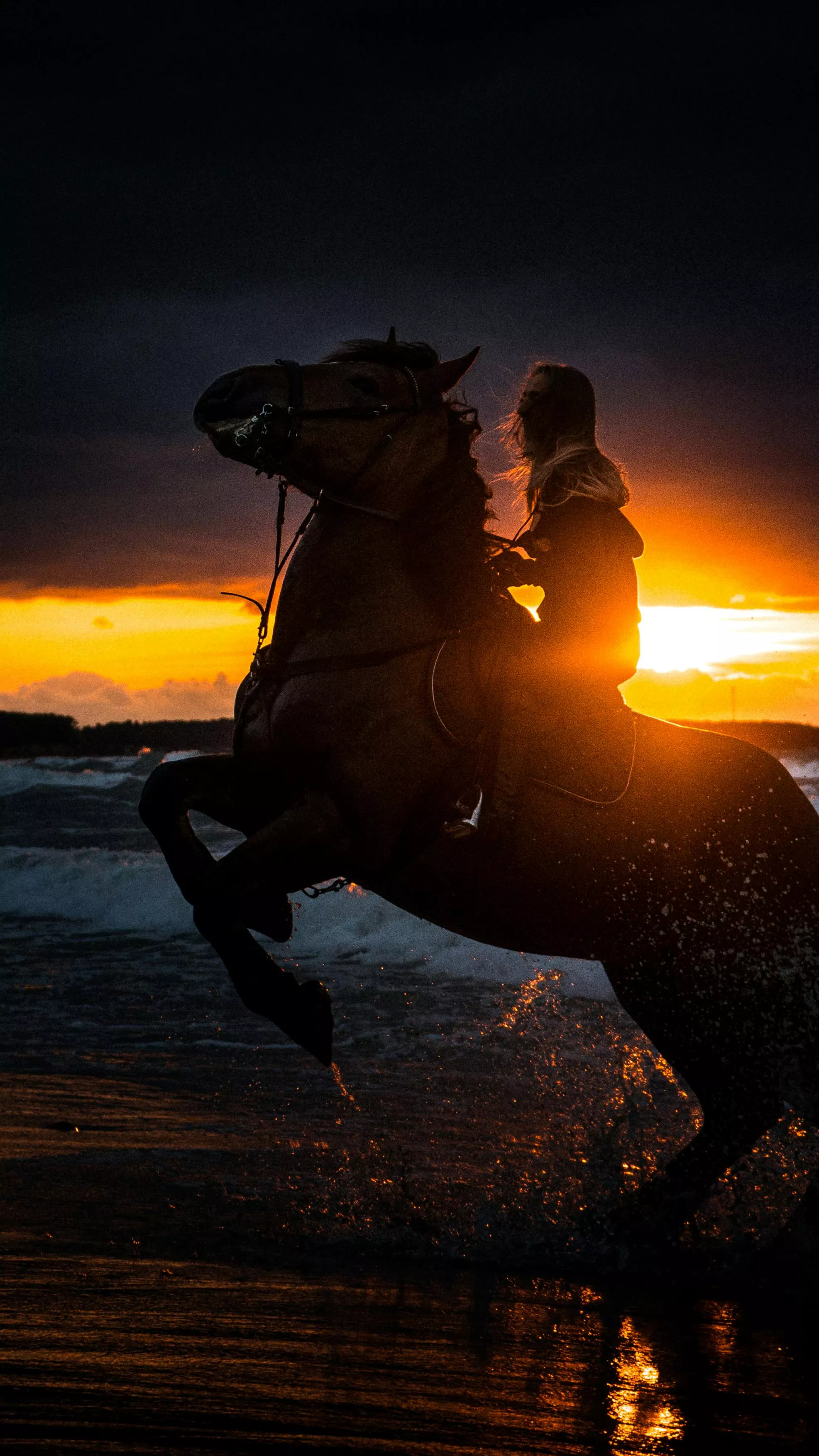 Silhouette of a Person Horseback Riding