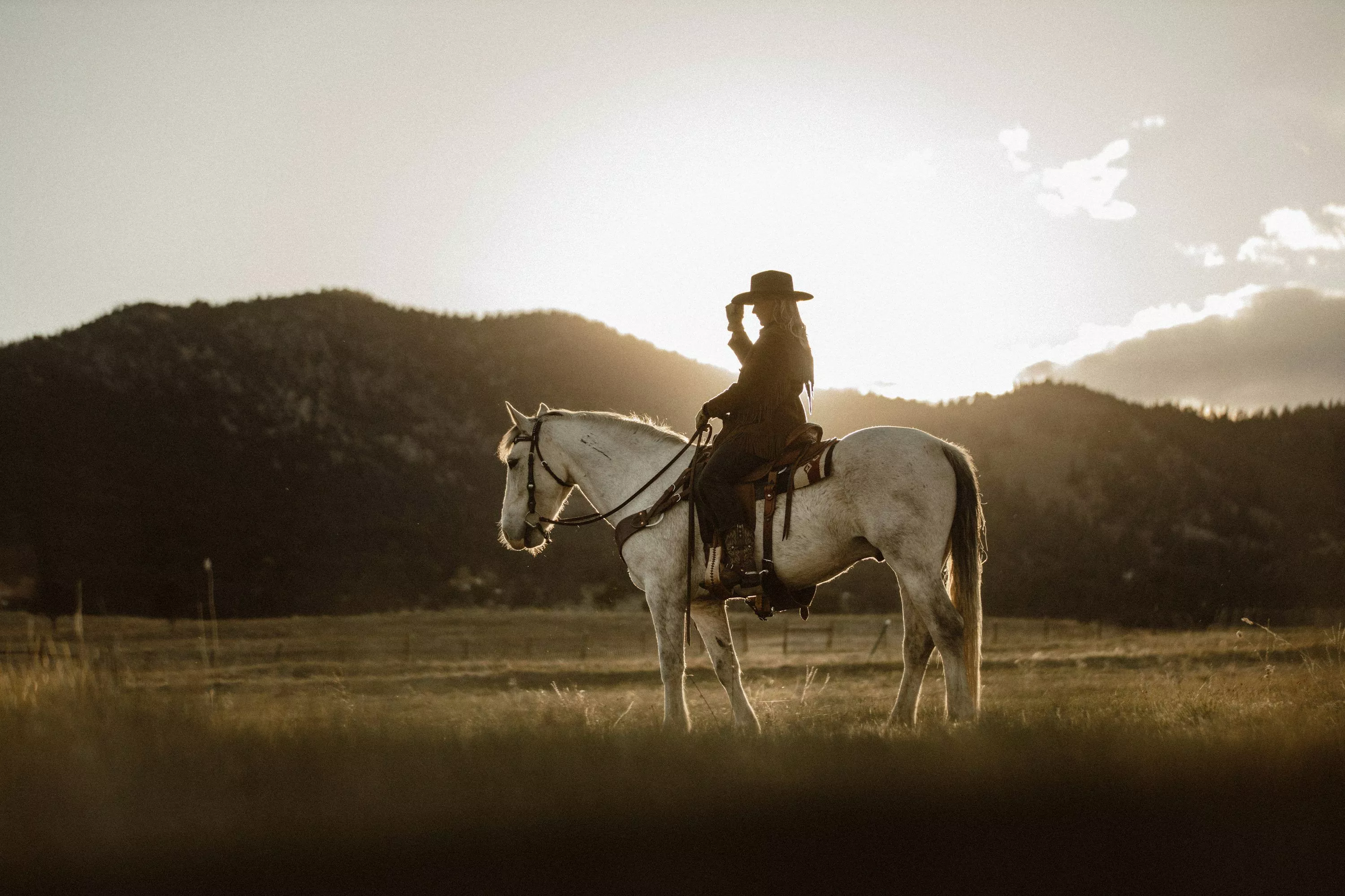 Western Horse Picture. Download Free