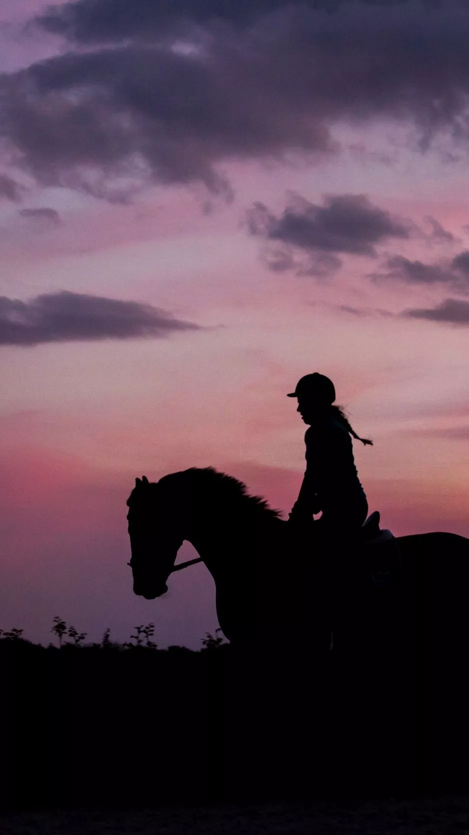 Download wallpaper 938x1668 silhouette