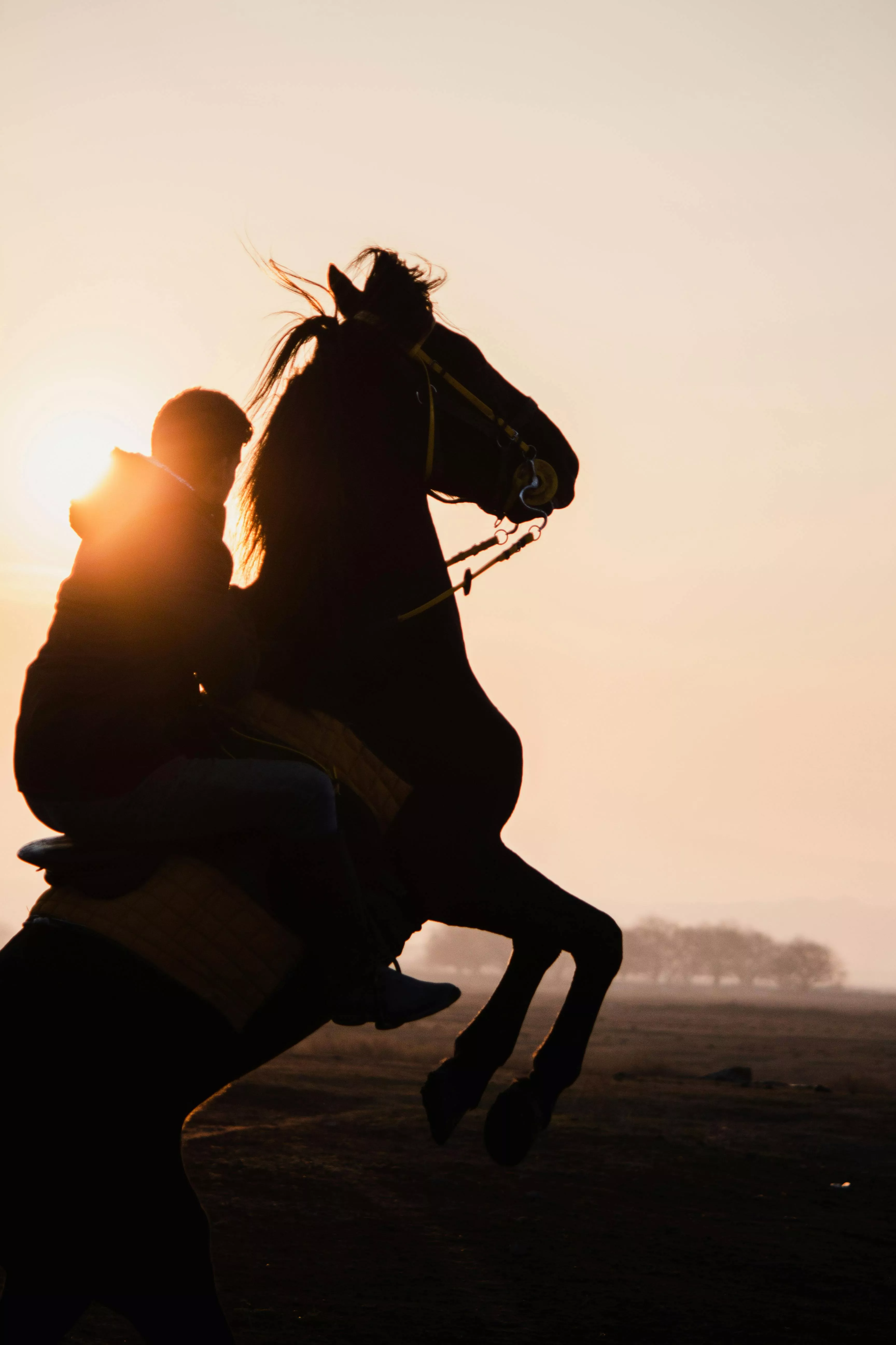 Boy Riding Horse During Sunset · Free