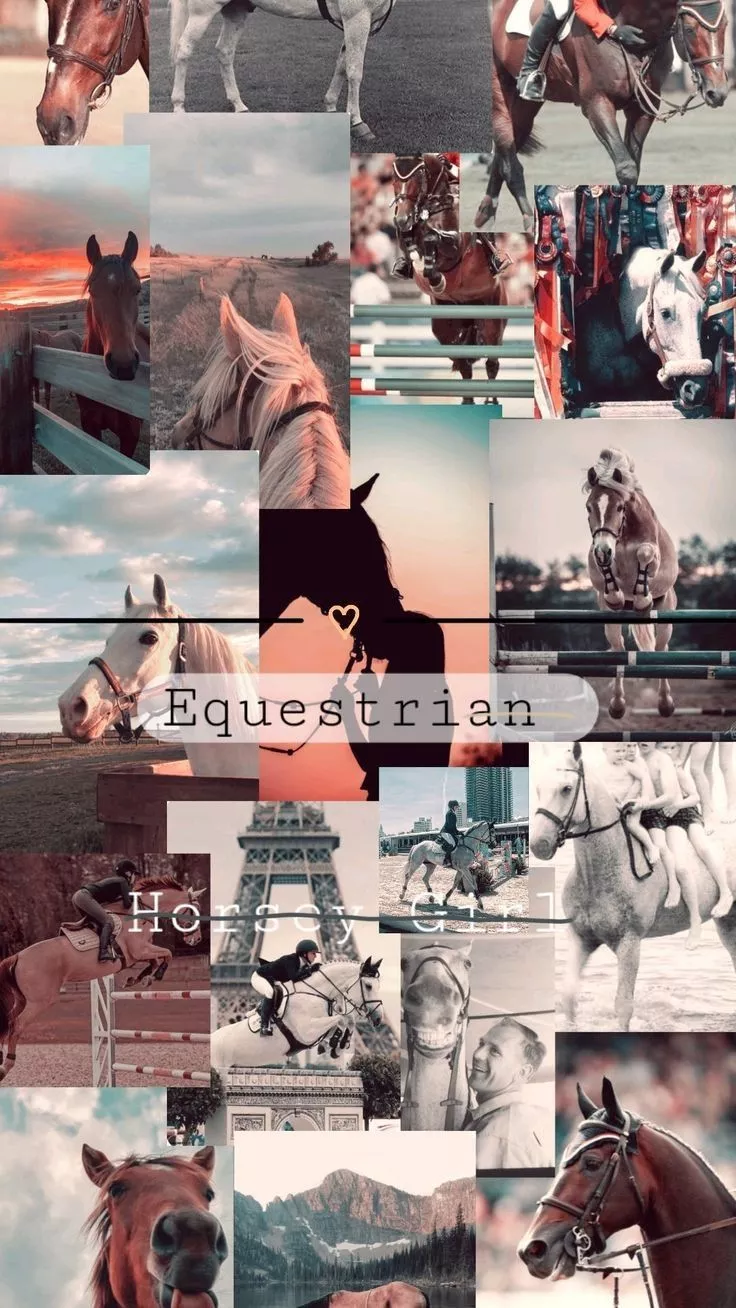 Horses