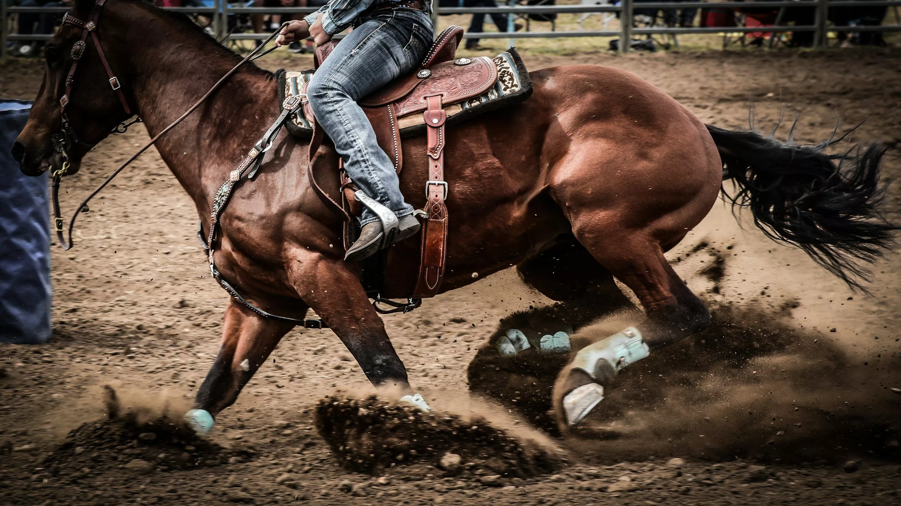 Western Horse Picture. Download Free