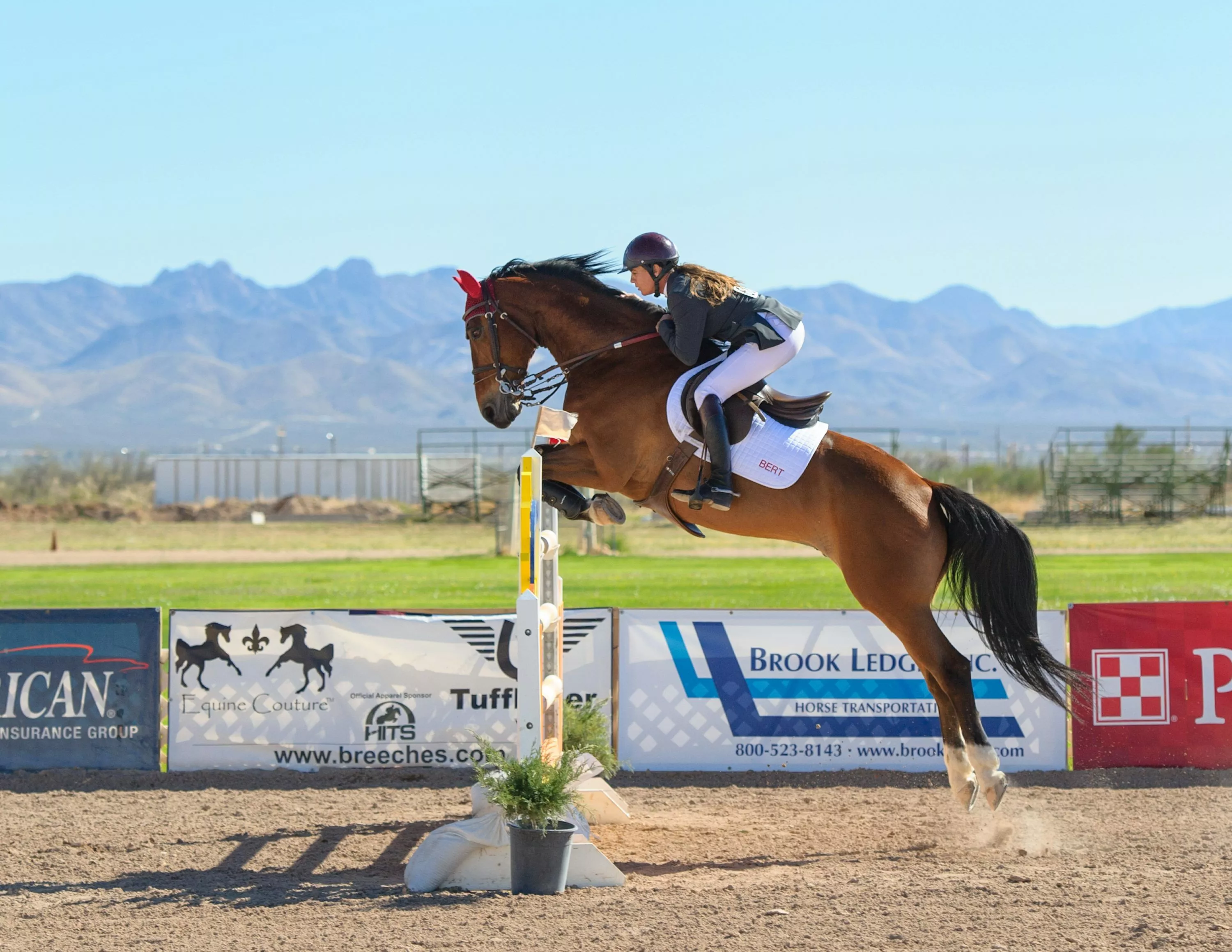 30,Horse Jumping Picture