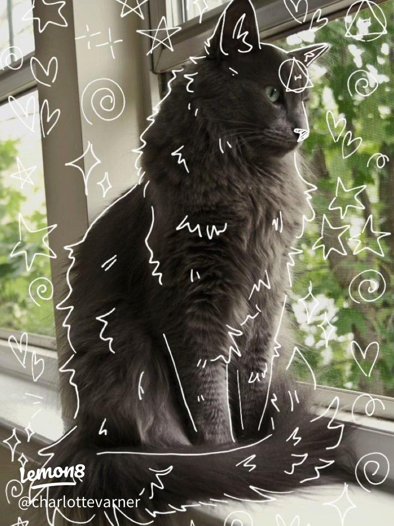 Stunning Therian Wallpaper for Your Inspiration