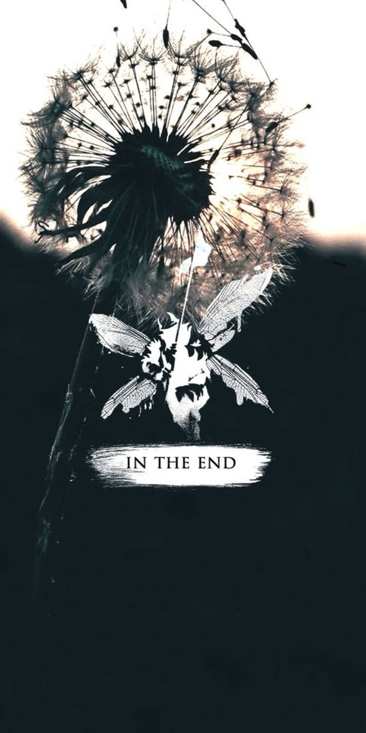 Mary Blackberry on Chazy. Linkin park