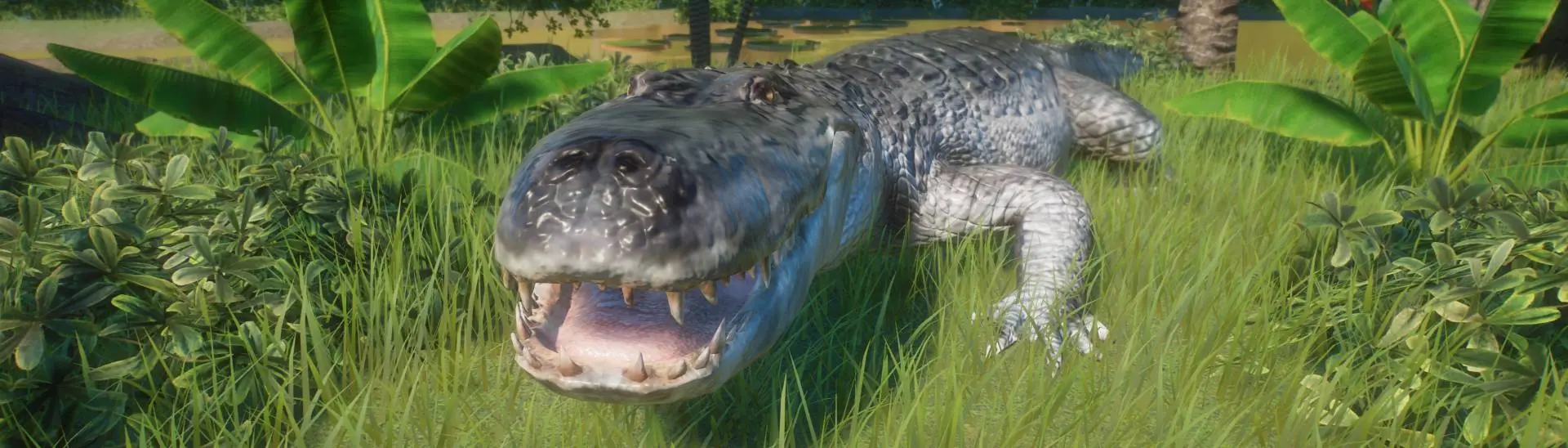 New Species at Planet Zoo Nexus