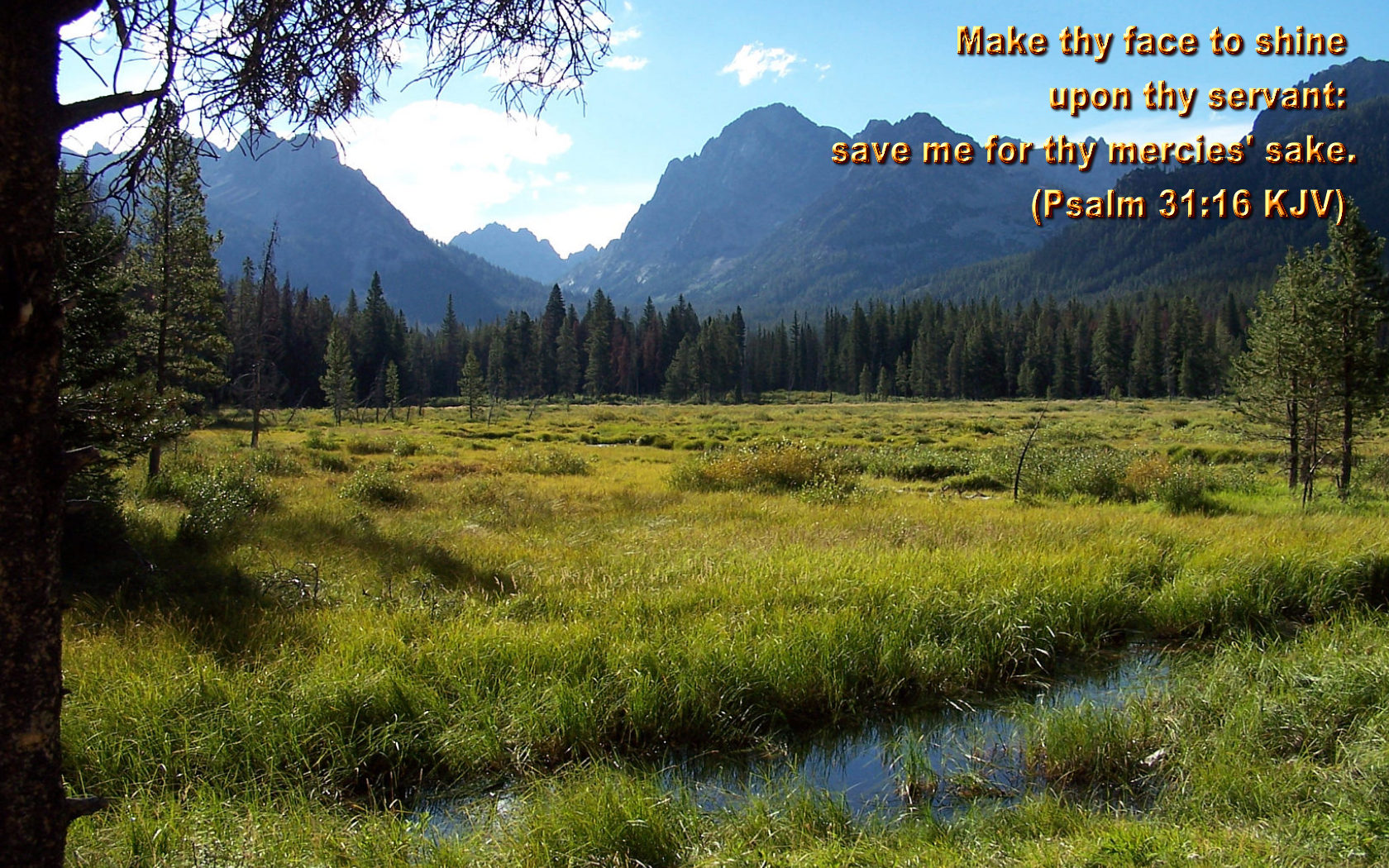 Psalm 31:16 Wallpaper